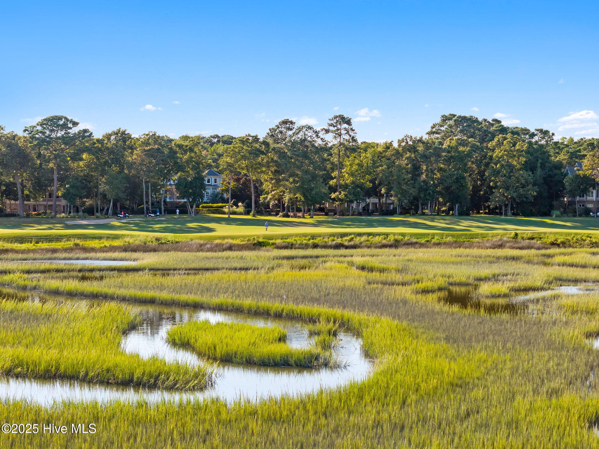 100530249 | Photo 14