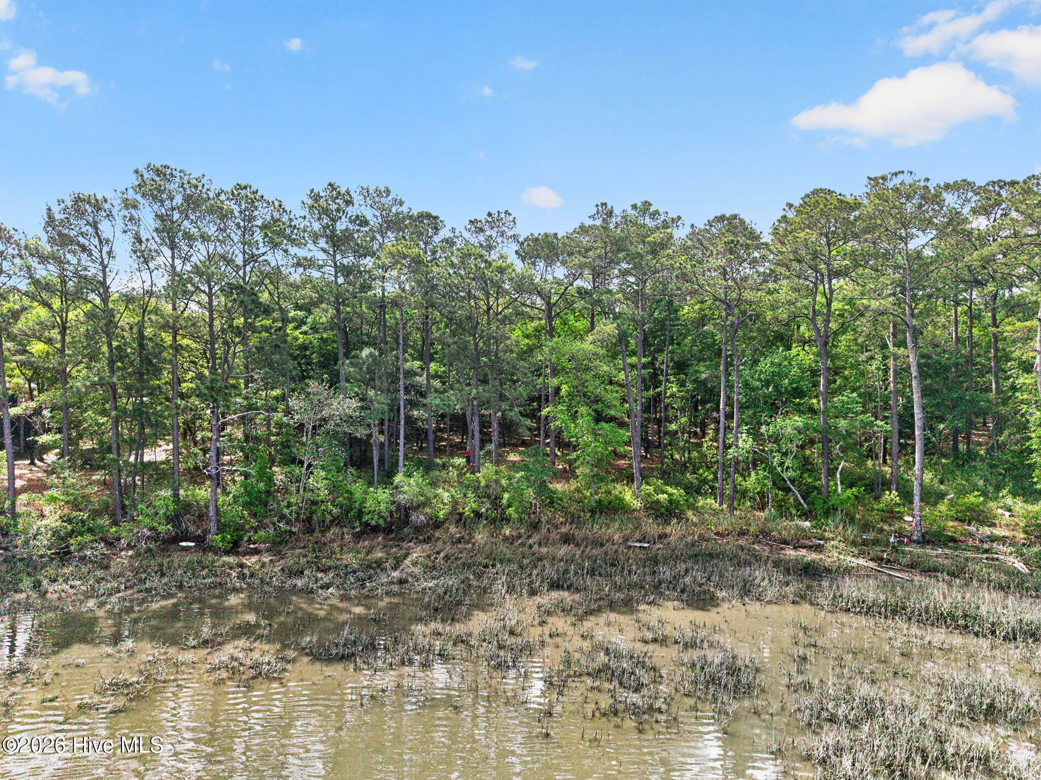 100570519 | Photo 14