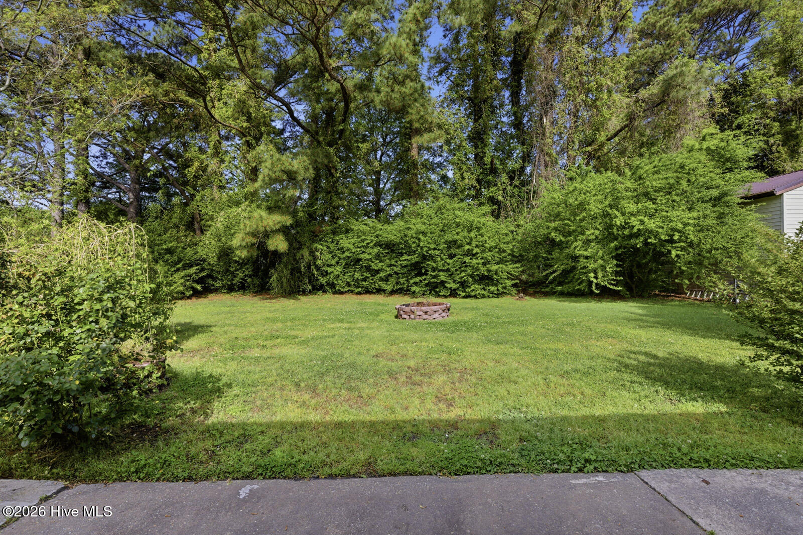 100566128 | Photo 23