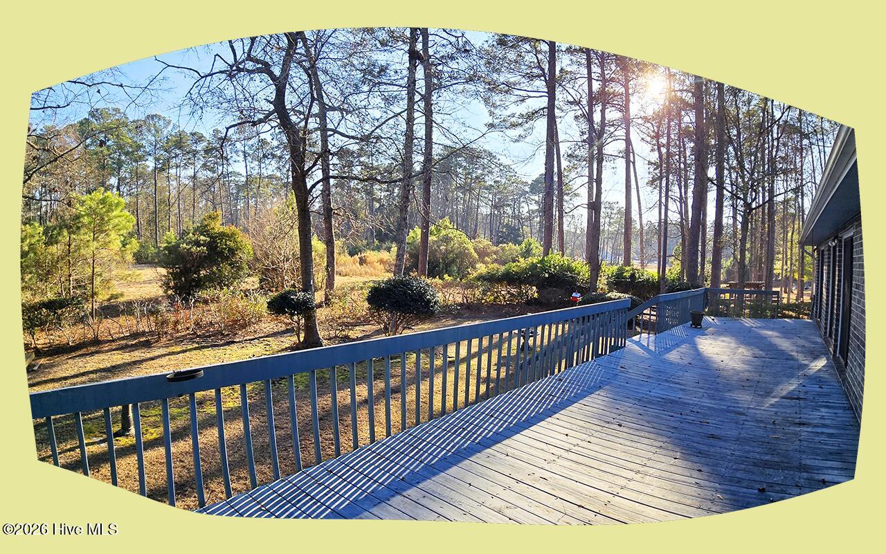 100551235 | Photo 32