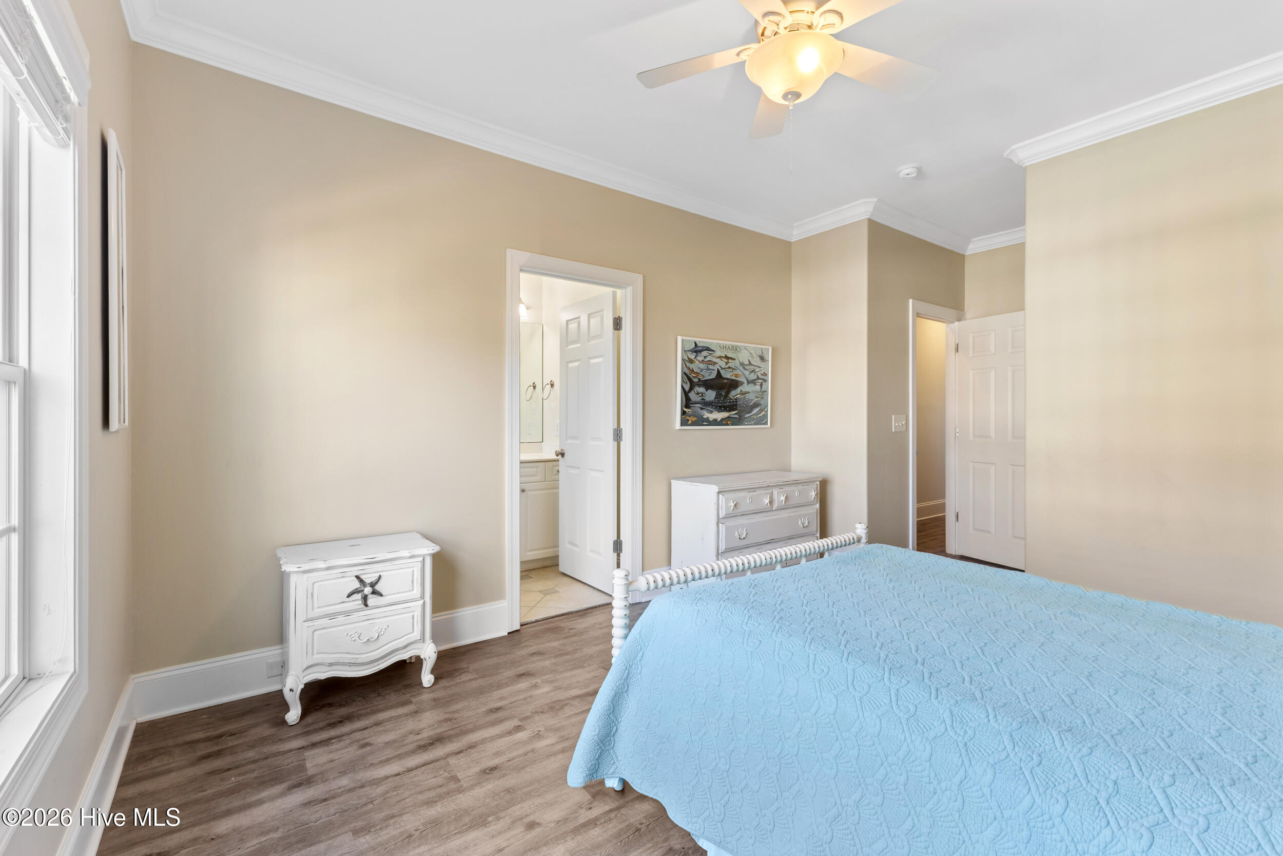 100559855 | Photo 28