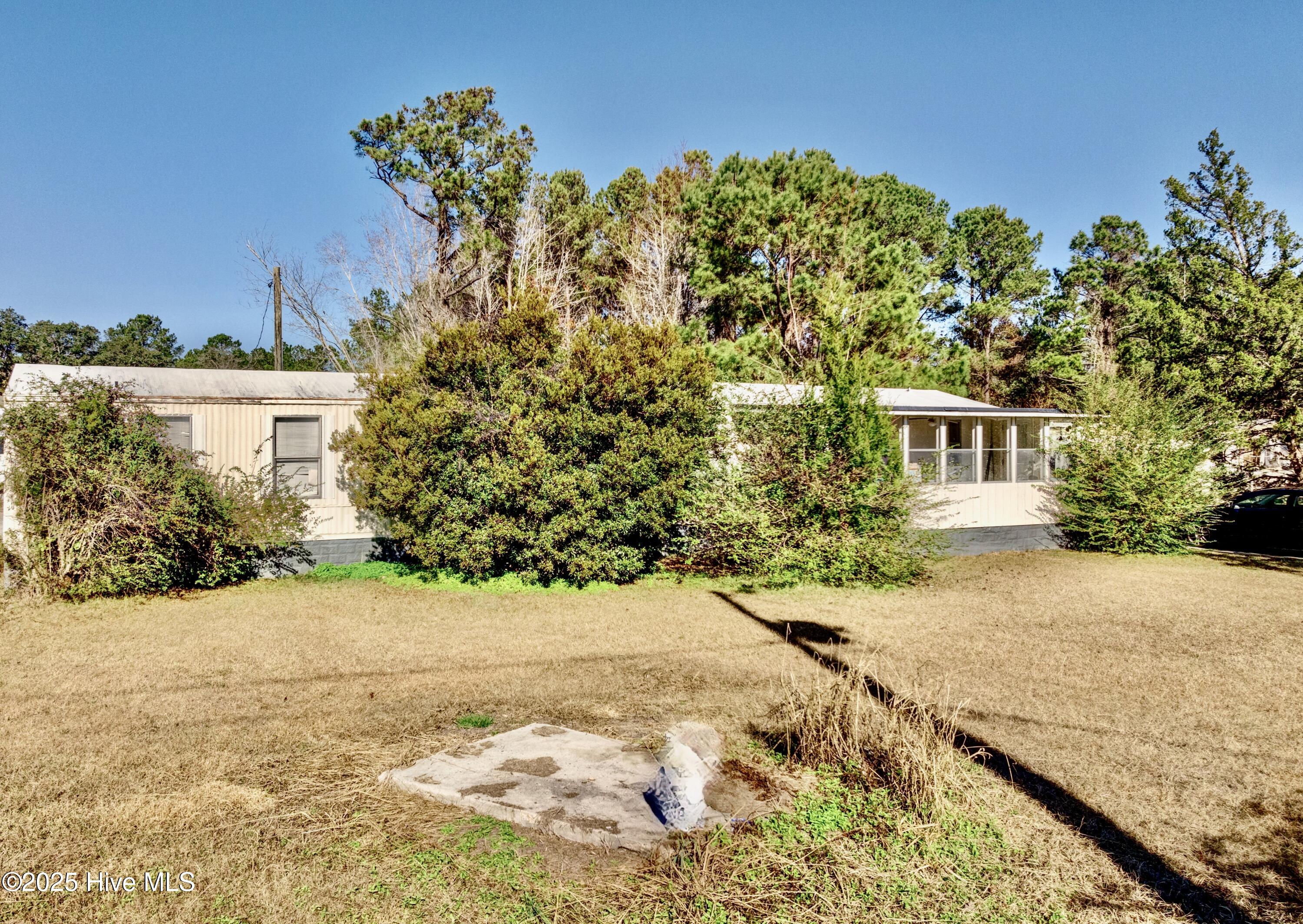 100536501 | Photo 28