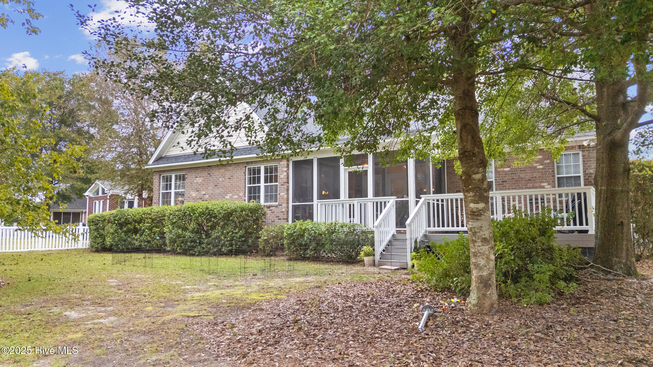 100536659 | Photo 41