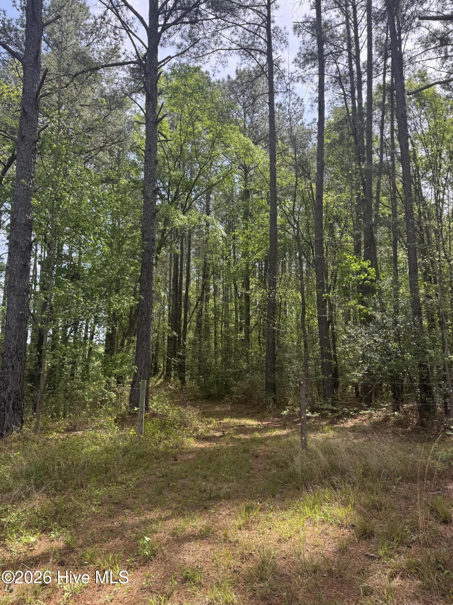 490 Springhill Church Road, Hamlet, NC, 28345