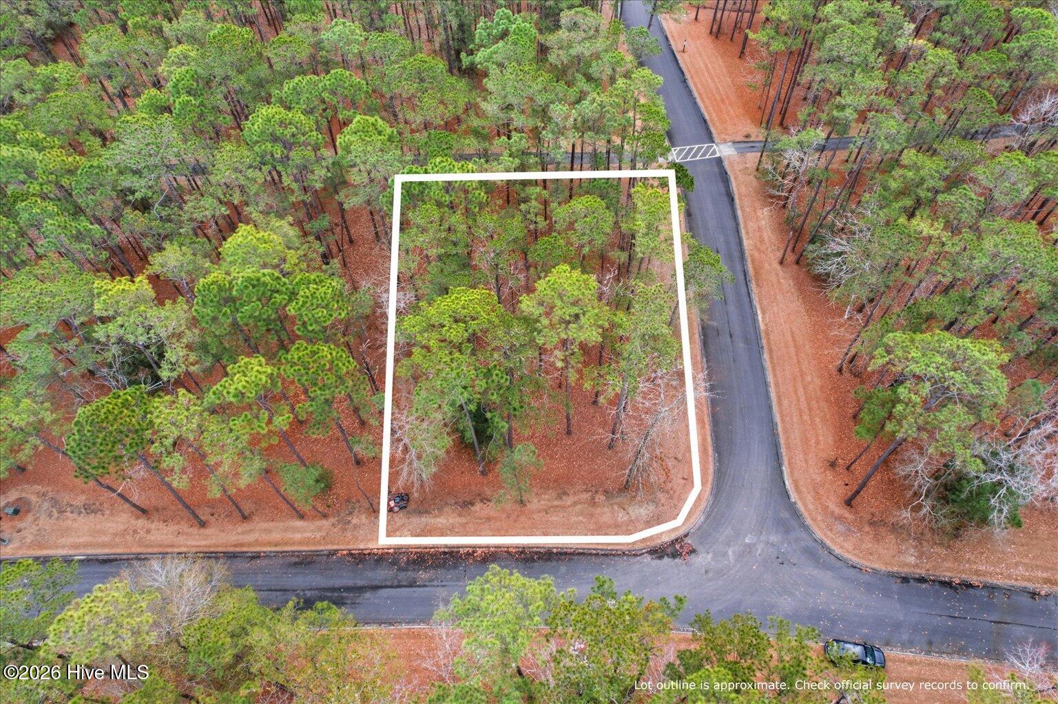 100555112 | Photo 25