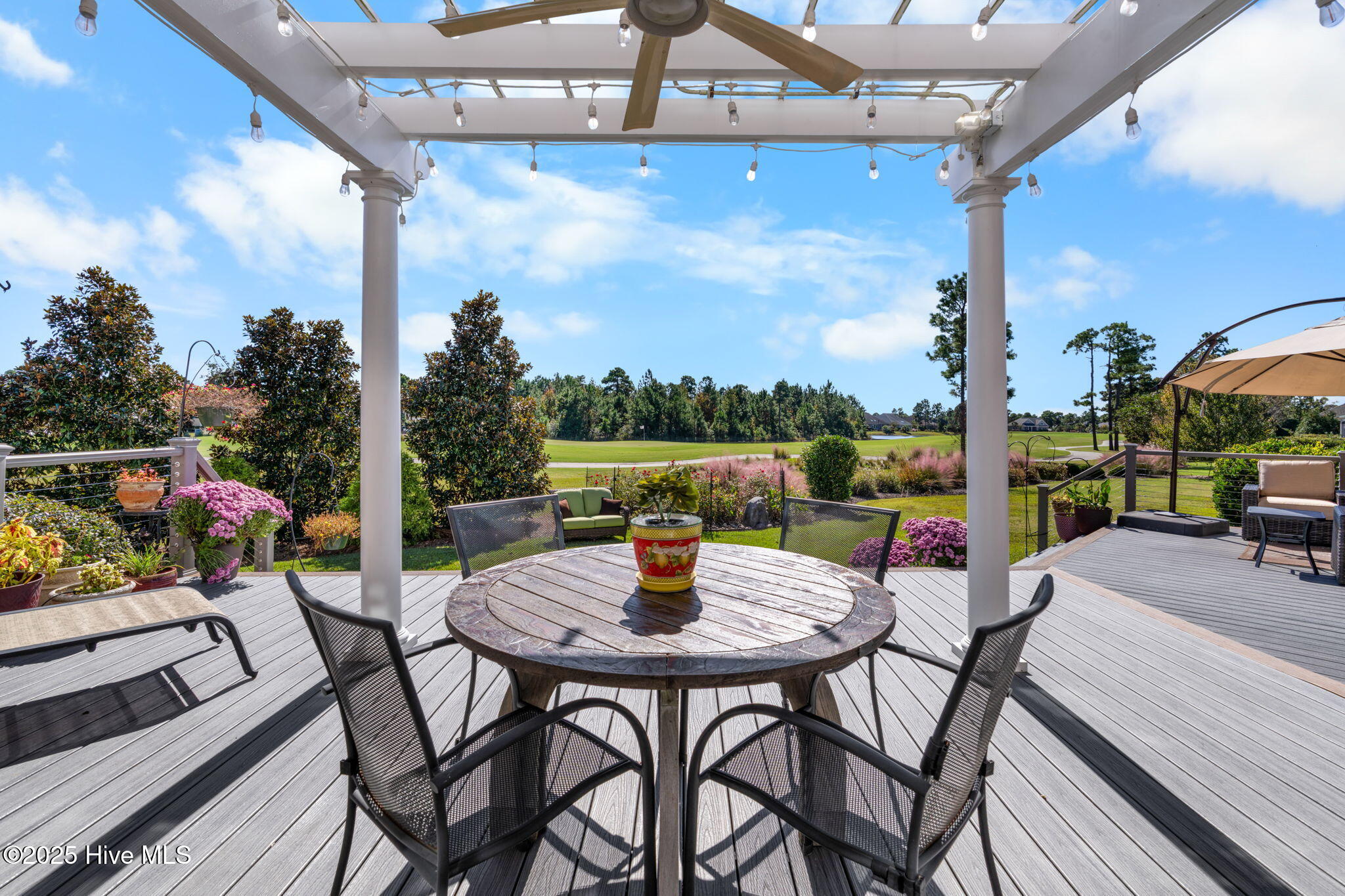 100544684 | Photo 64