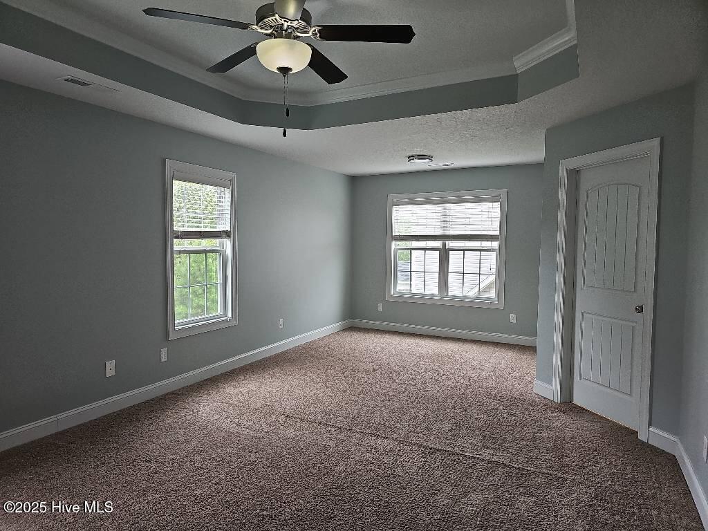 100538790 | Photo 11