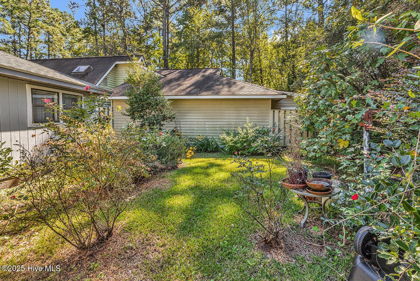 100536958 | Photo 29