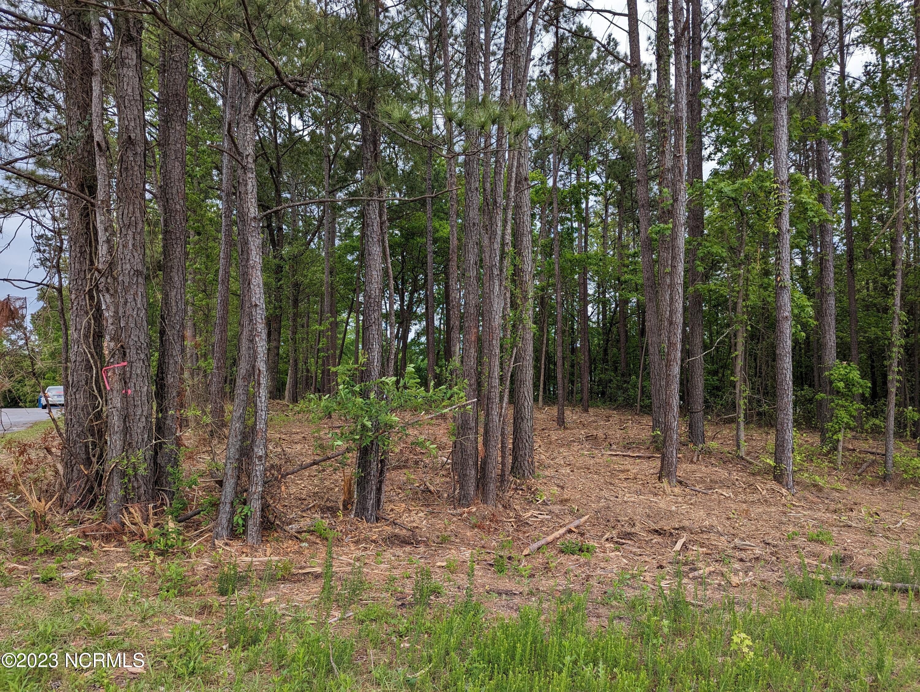 2520 Henderson Drive,Jacksonville