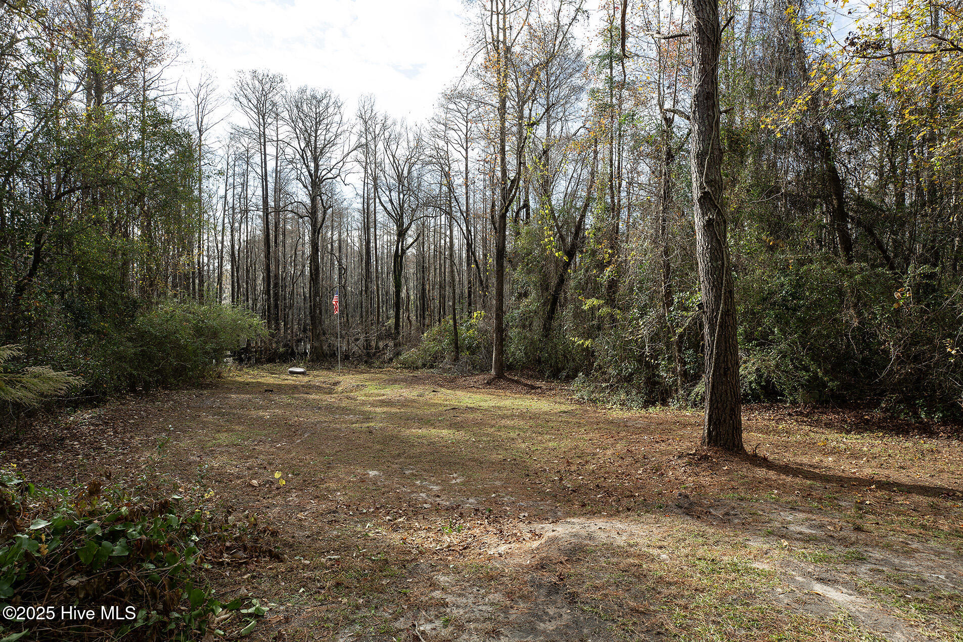 100544920 | Photo 33