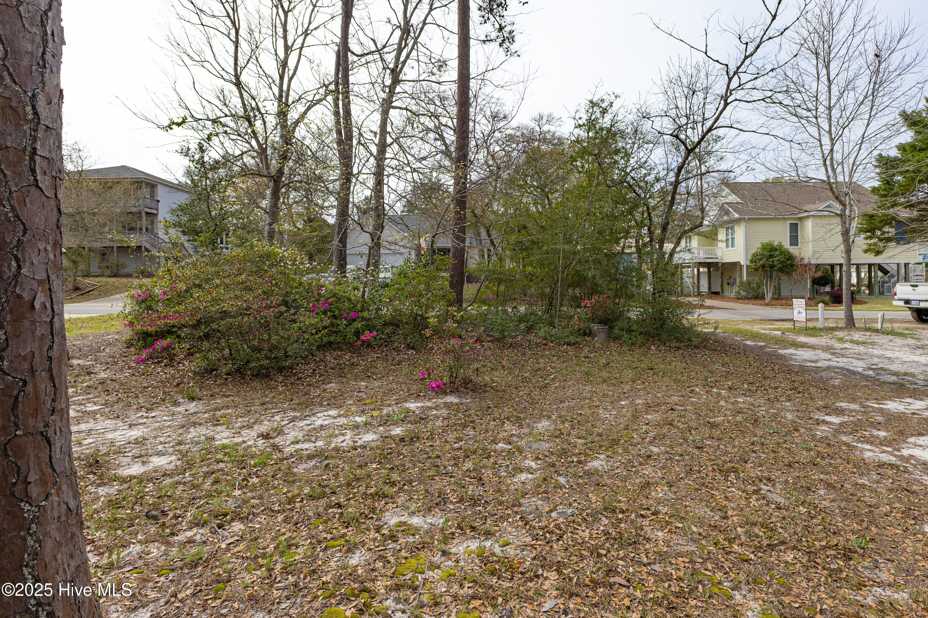 100550282 | Photo 10