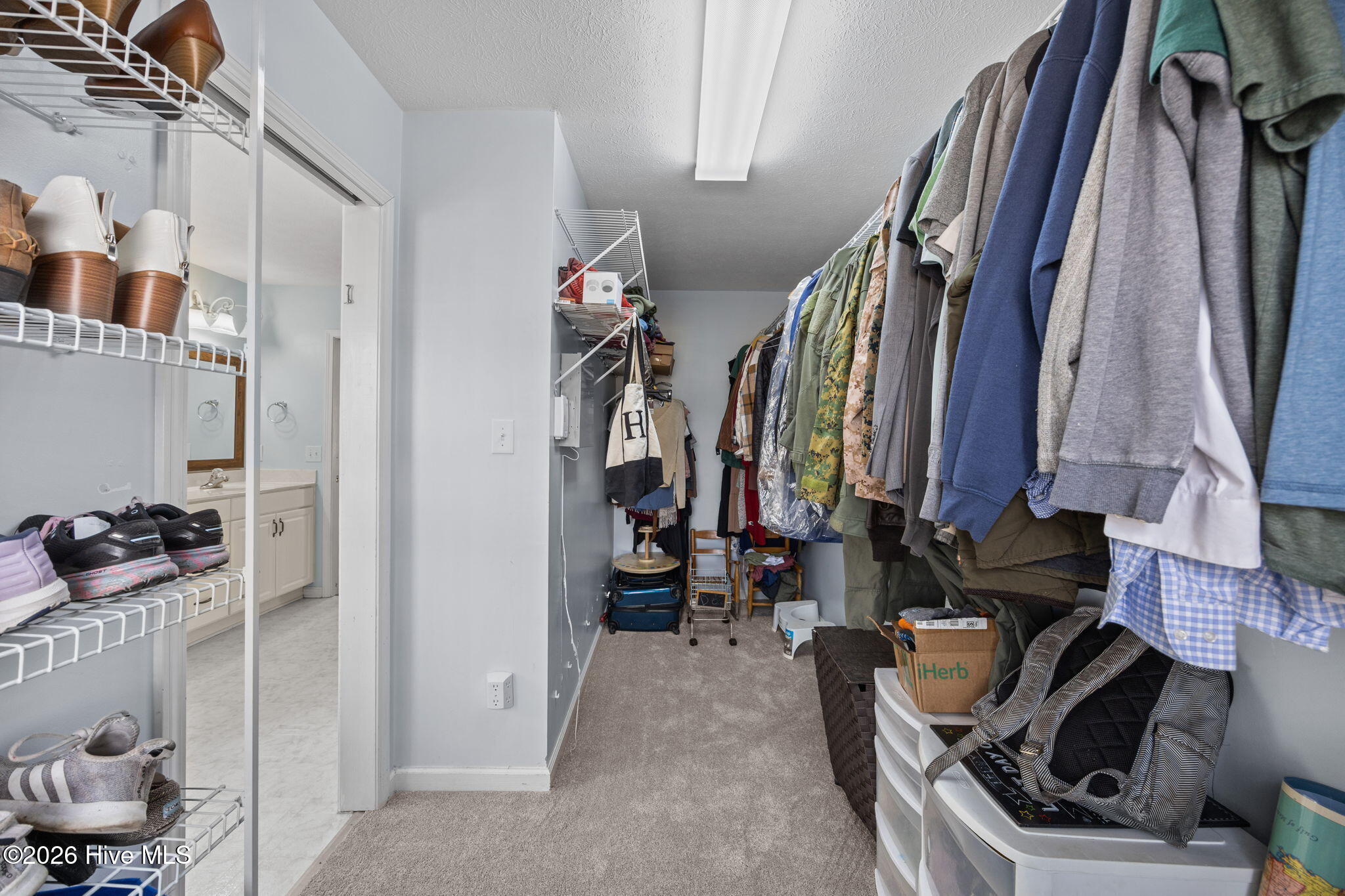 100558634 | Photo 27