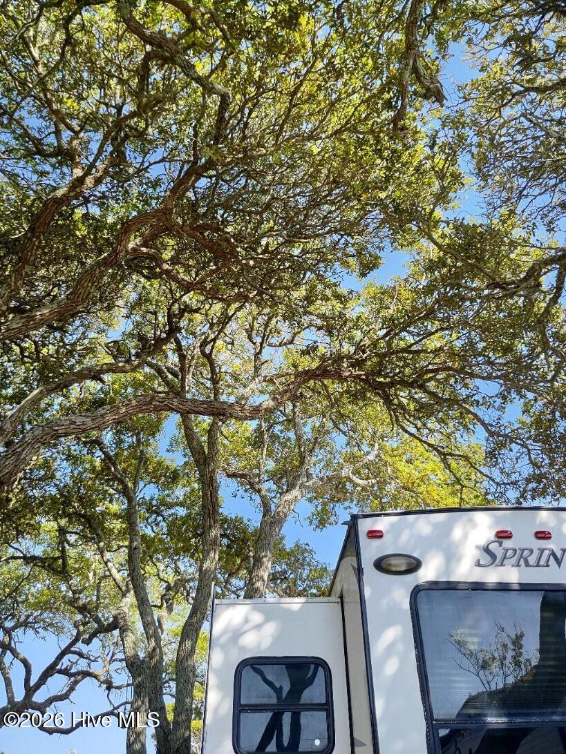 100567863 | Photo 11