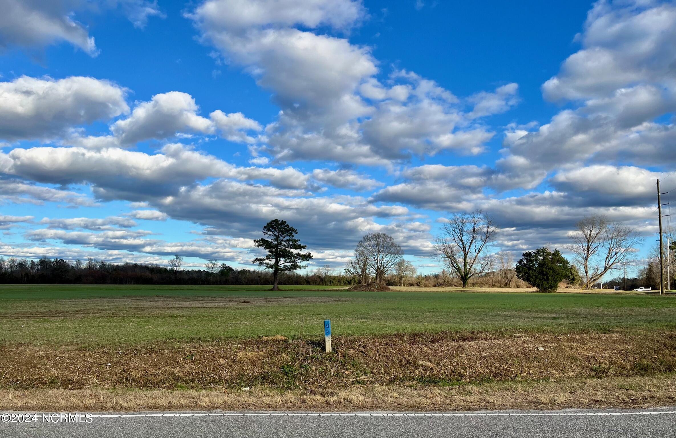 100424382 | Photo 11