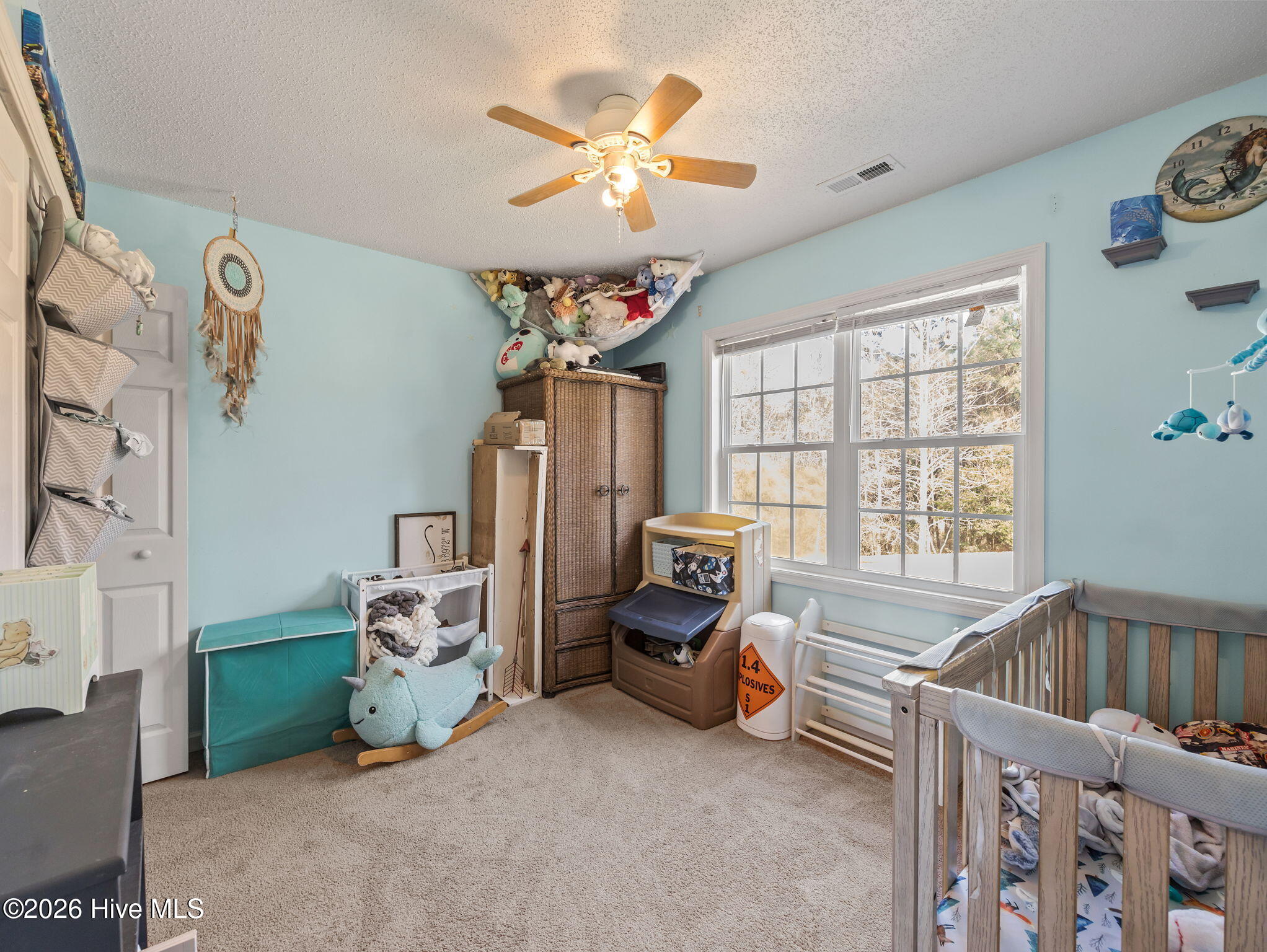 100568127 | Photo 28