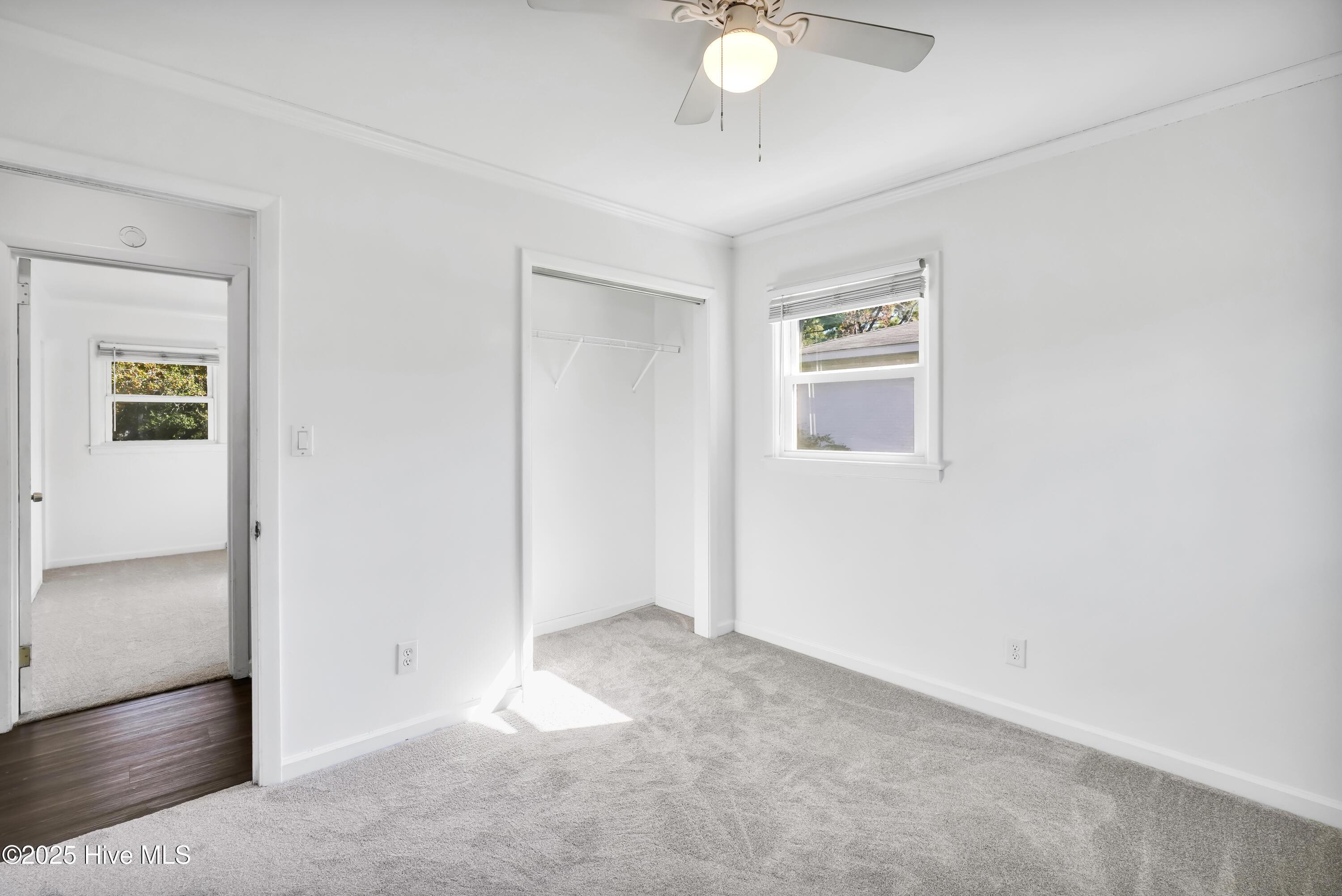 100539794 | Photo 27