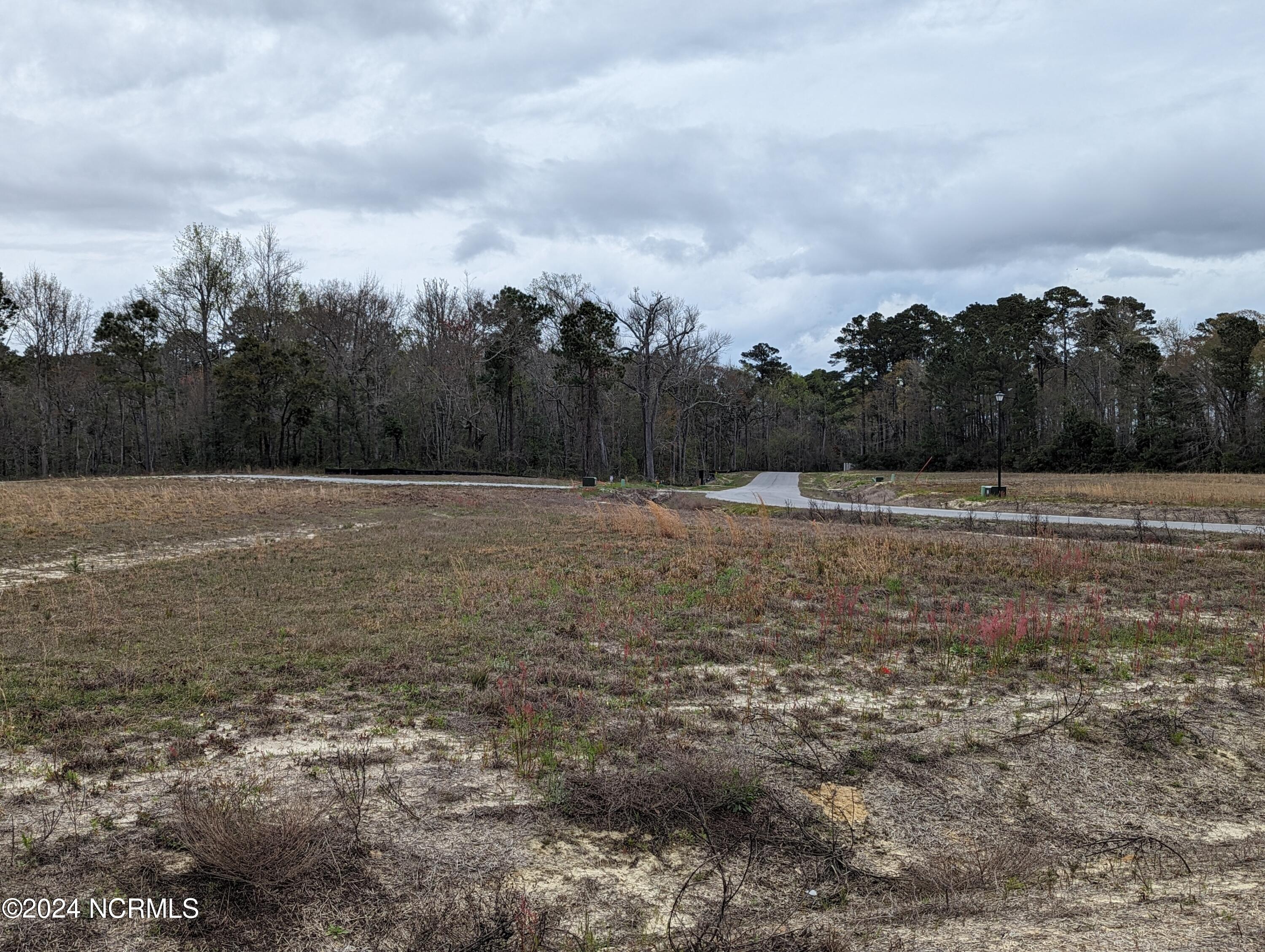 256 Nellie Lane, Swansboro, NC 28584 – photo 23: PXL_20240322_180215732.PORTRAIT.ORIGINAL