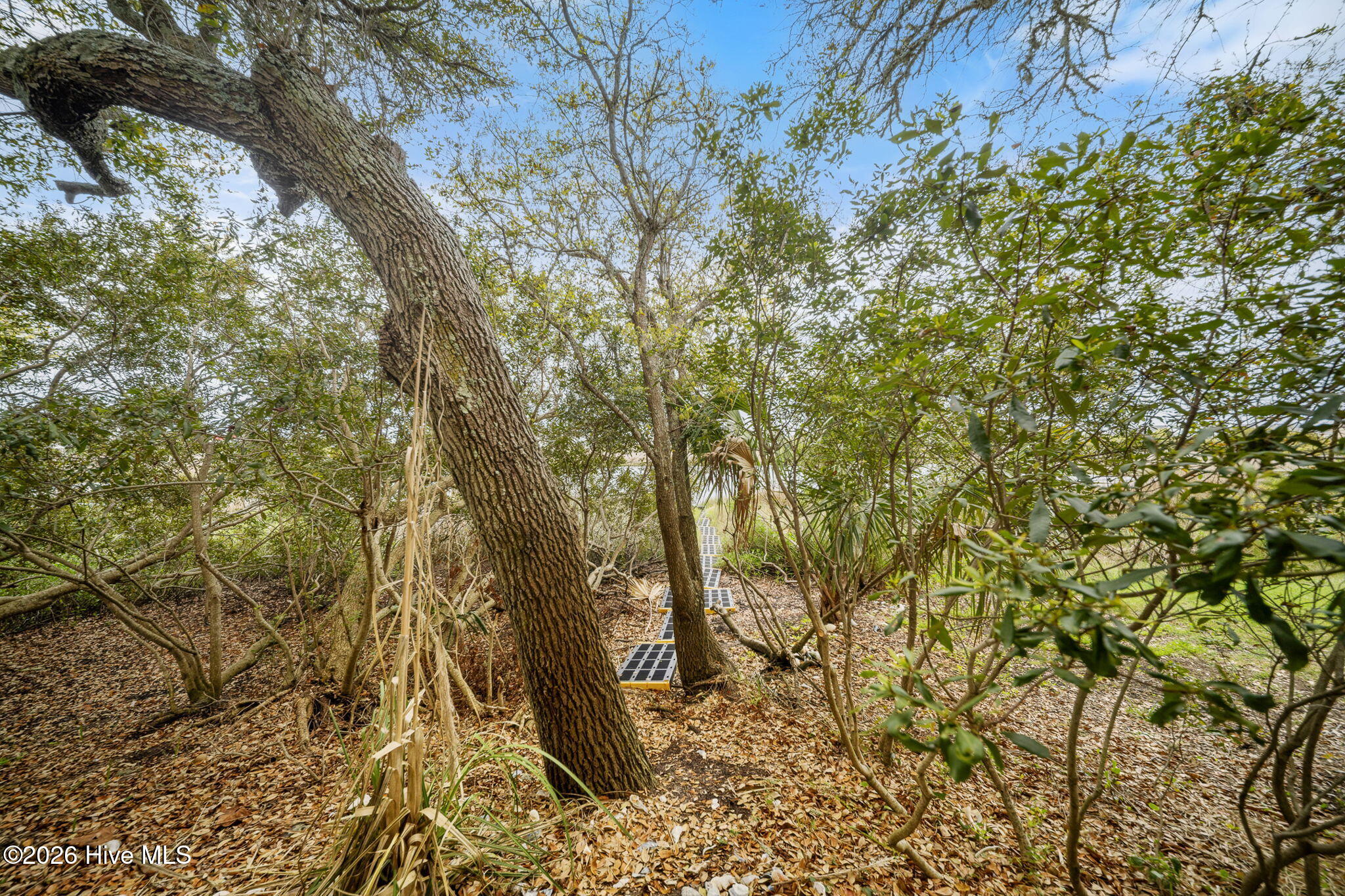 100566136 | Photo 69