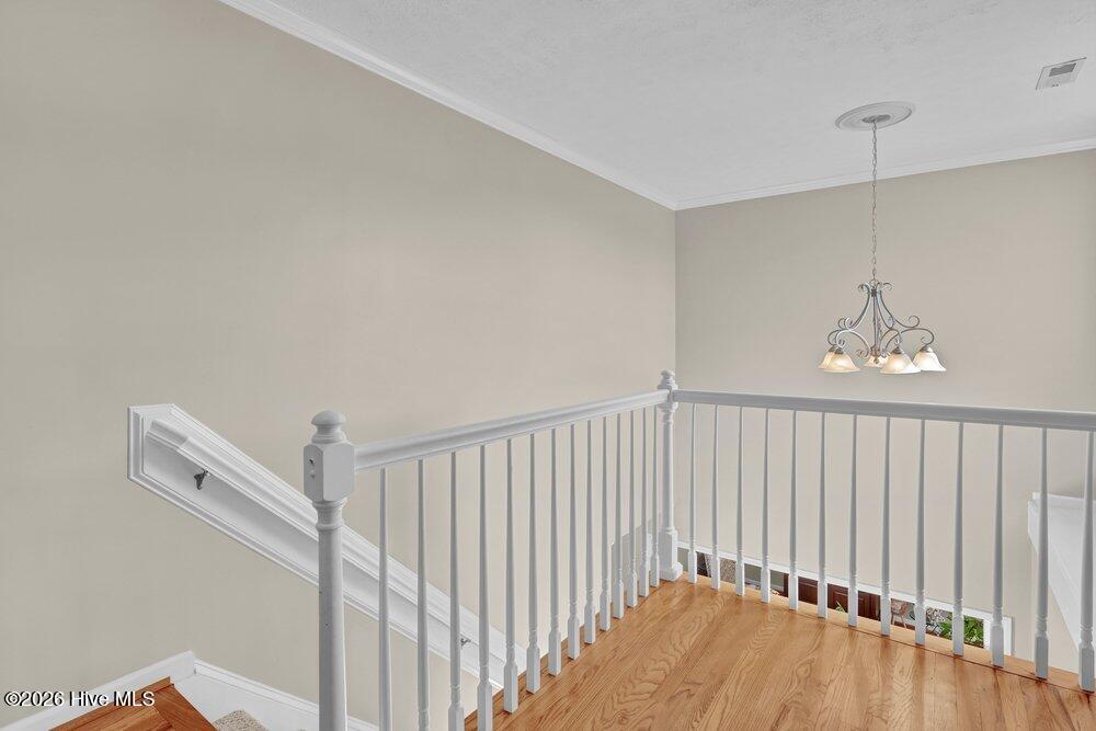 100567145 | Photo 34