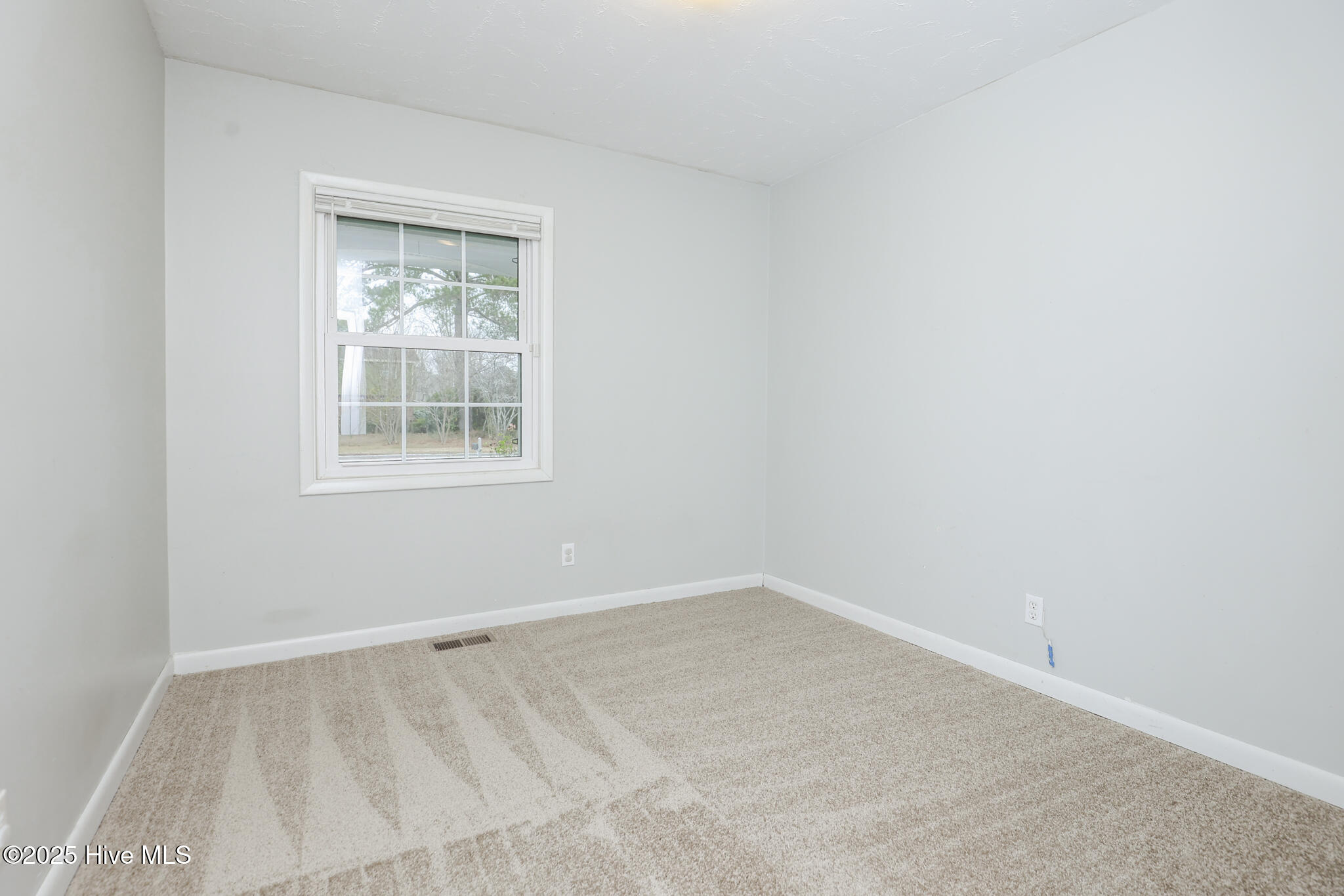 100546143 | Photo 26