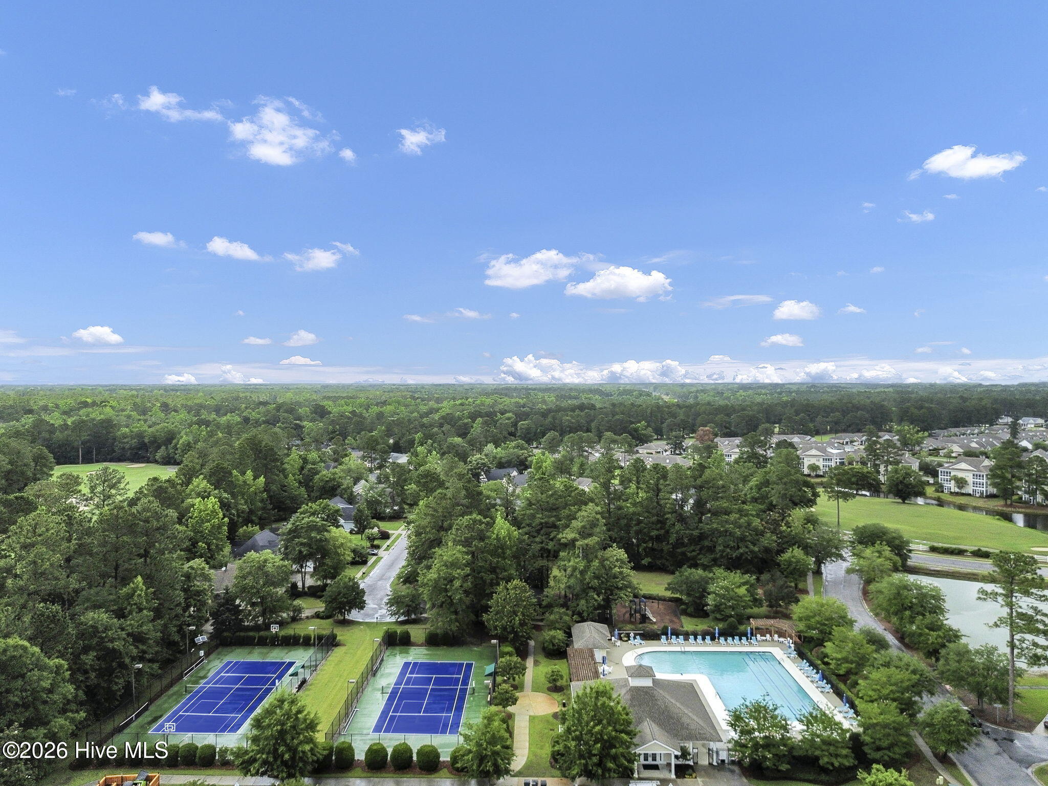 100557033 | Photo 42