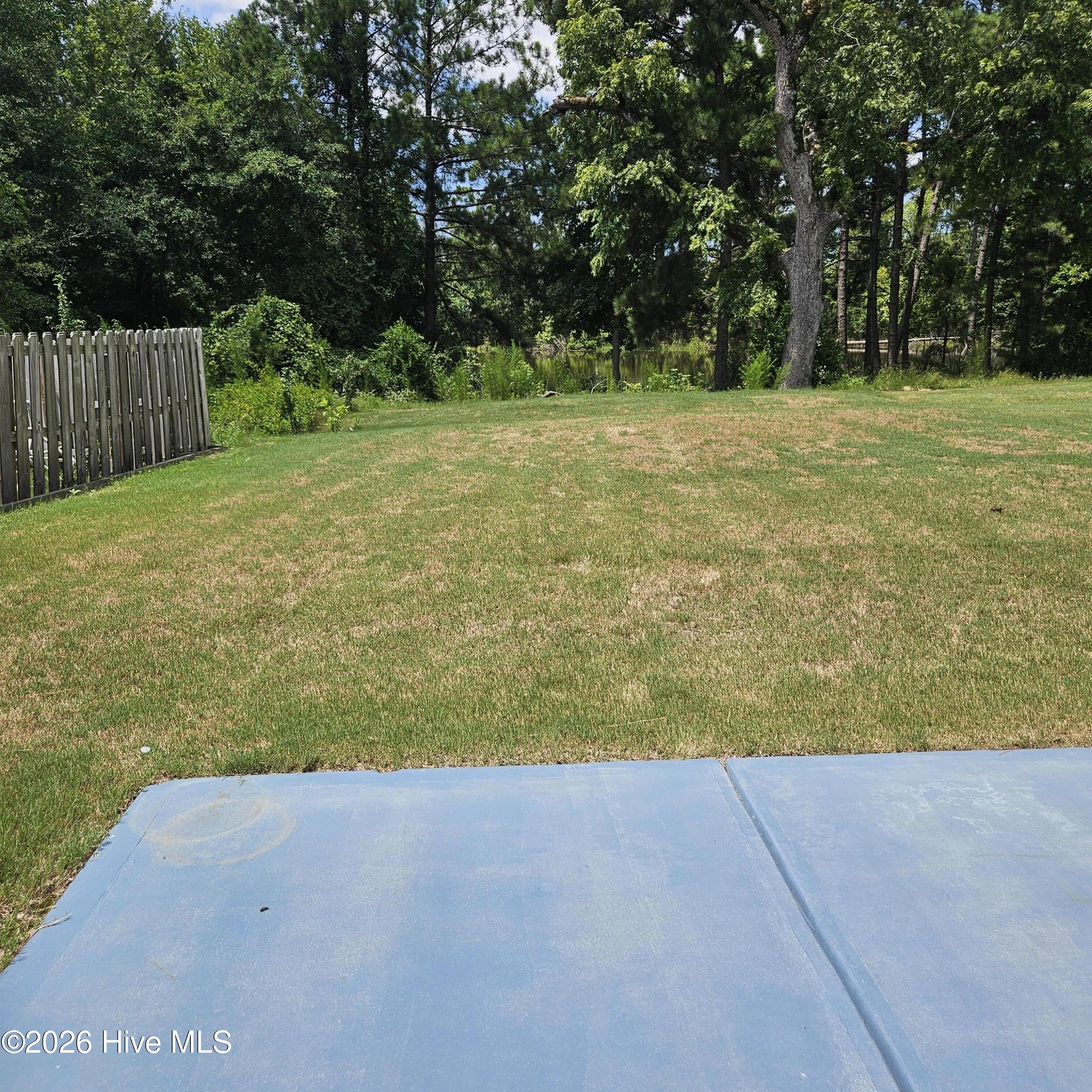Rear Patio and view