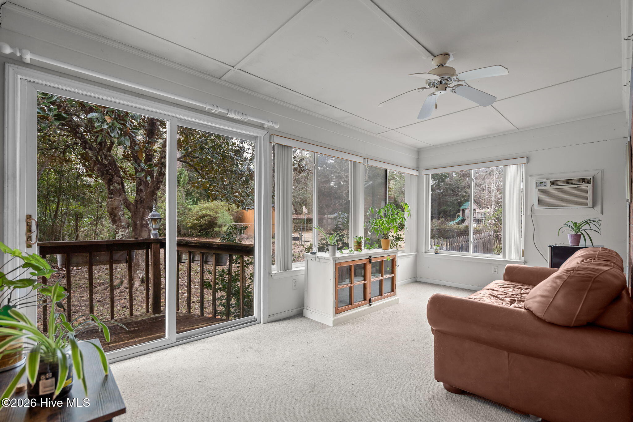 100551462 | Photo 40