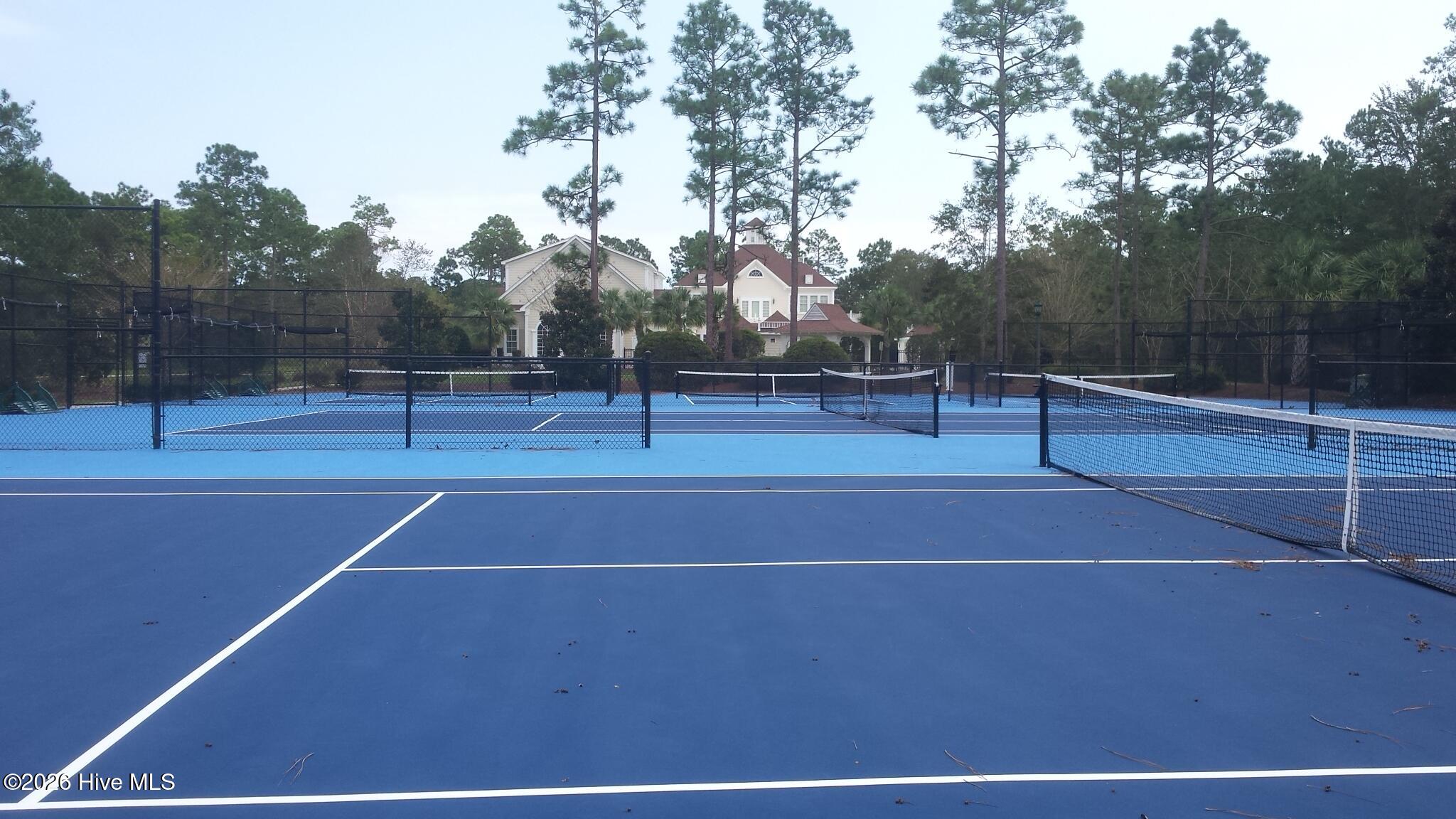 100558033 | Photo 11