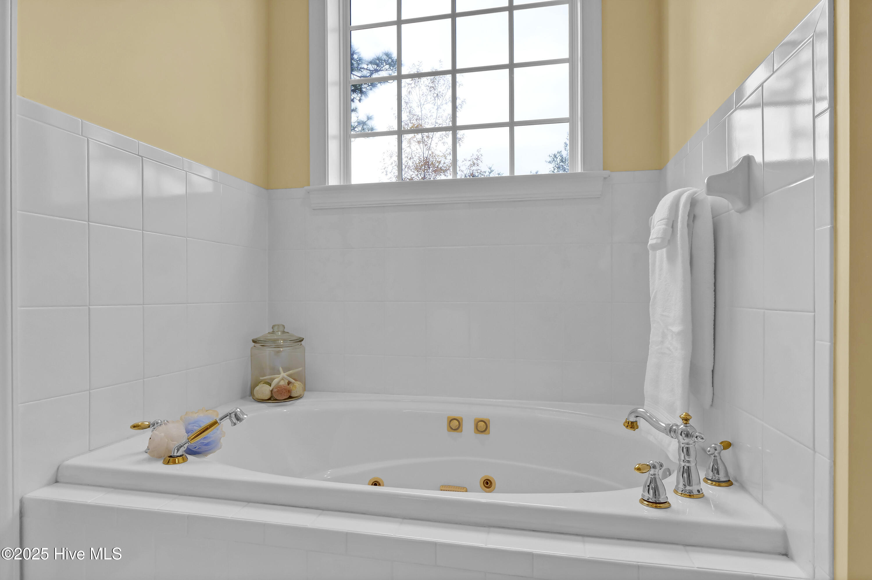 100559823 | Photo 30