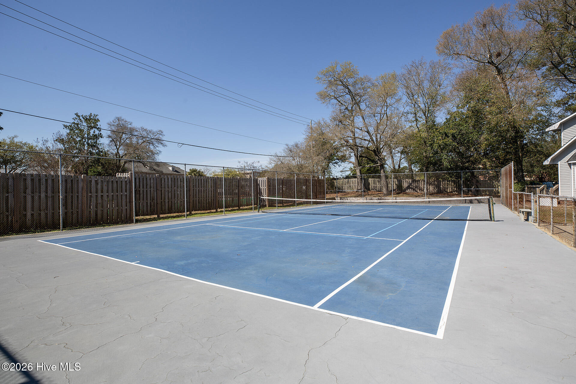 100561639 | Photo 46