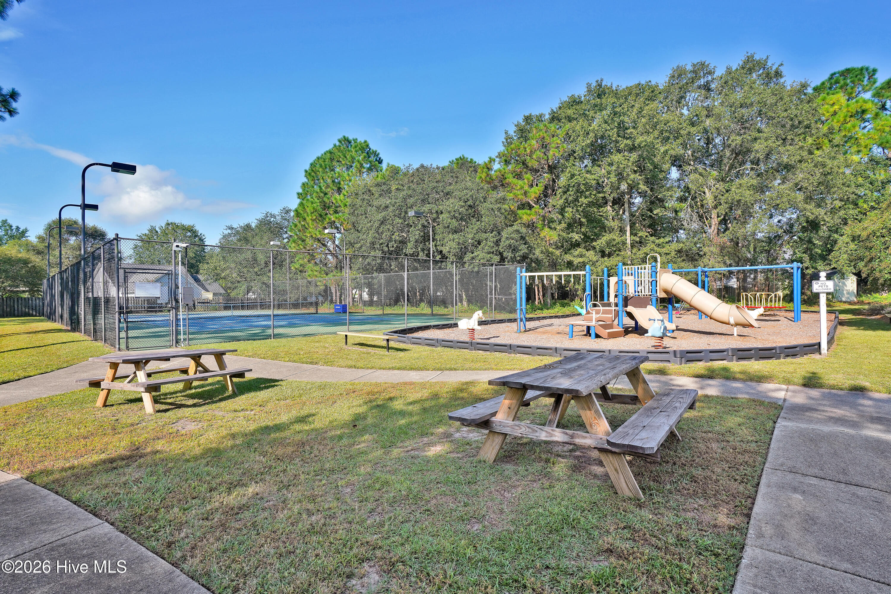 100550407 | Photo 38