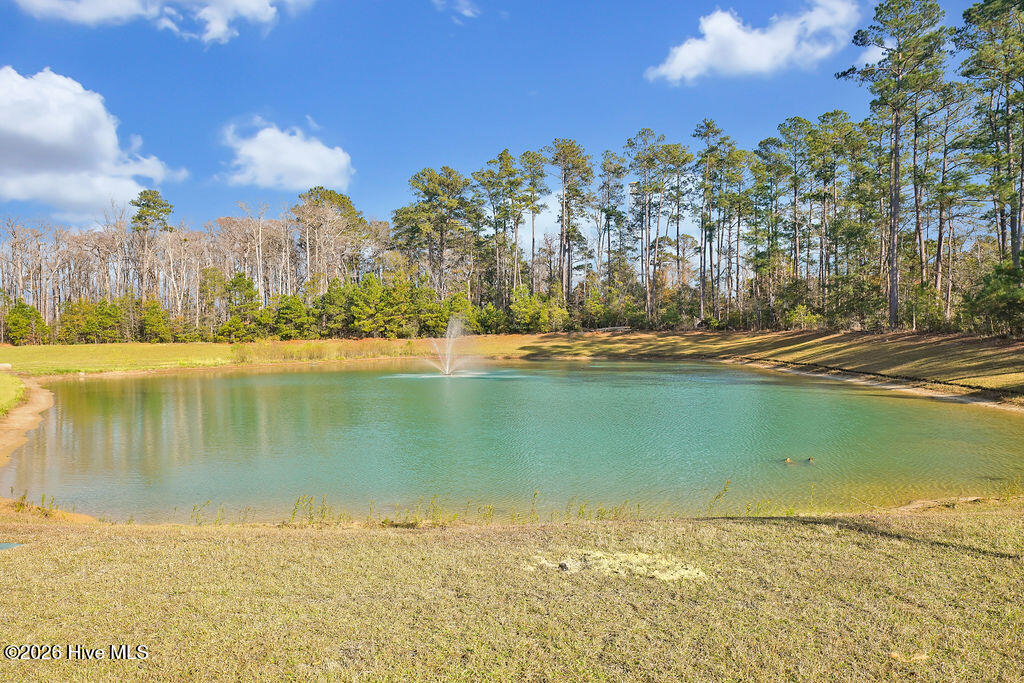 100550212 | Photo 24