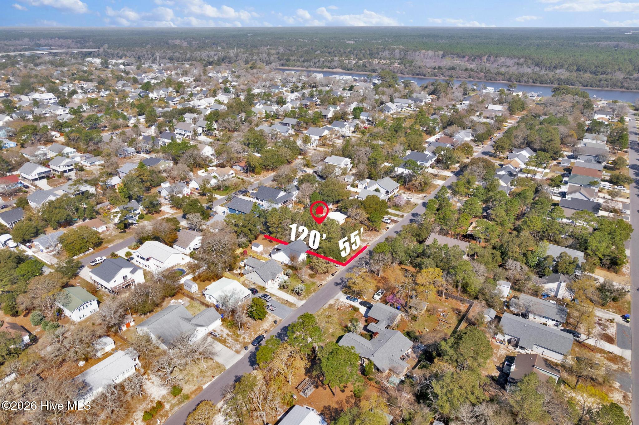 100562337 | Photo 30