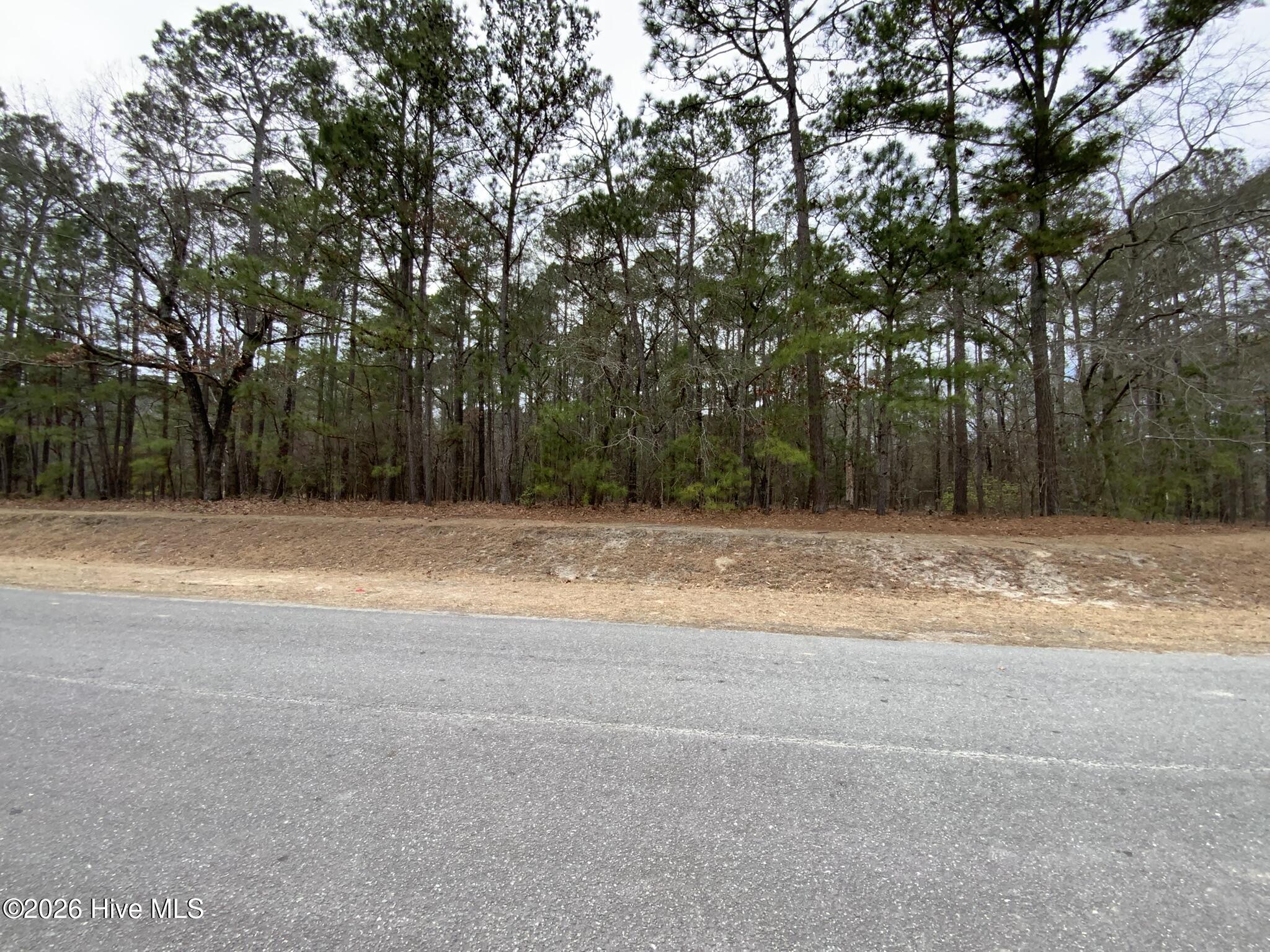 101 Long Leaf Lane, Goldsboro, NC, 27534