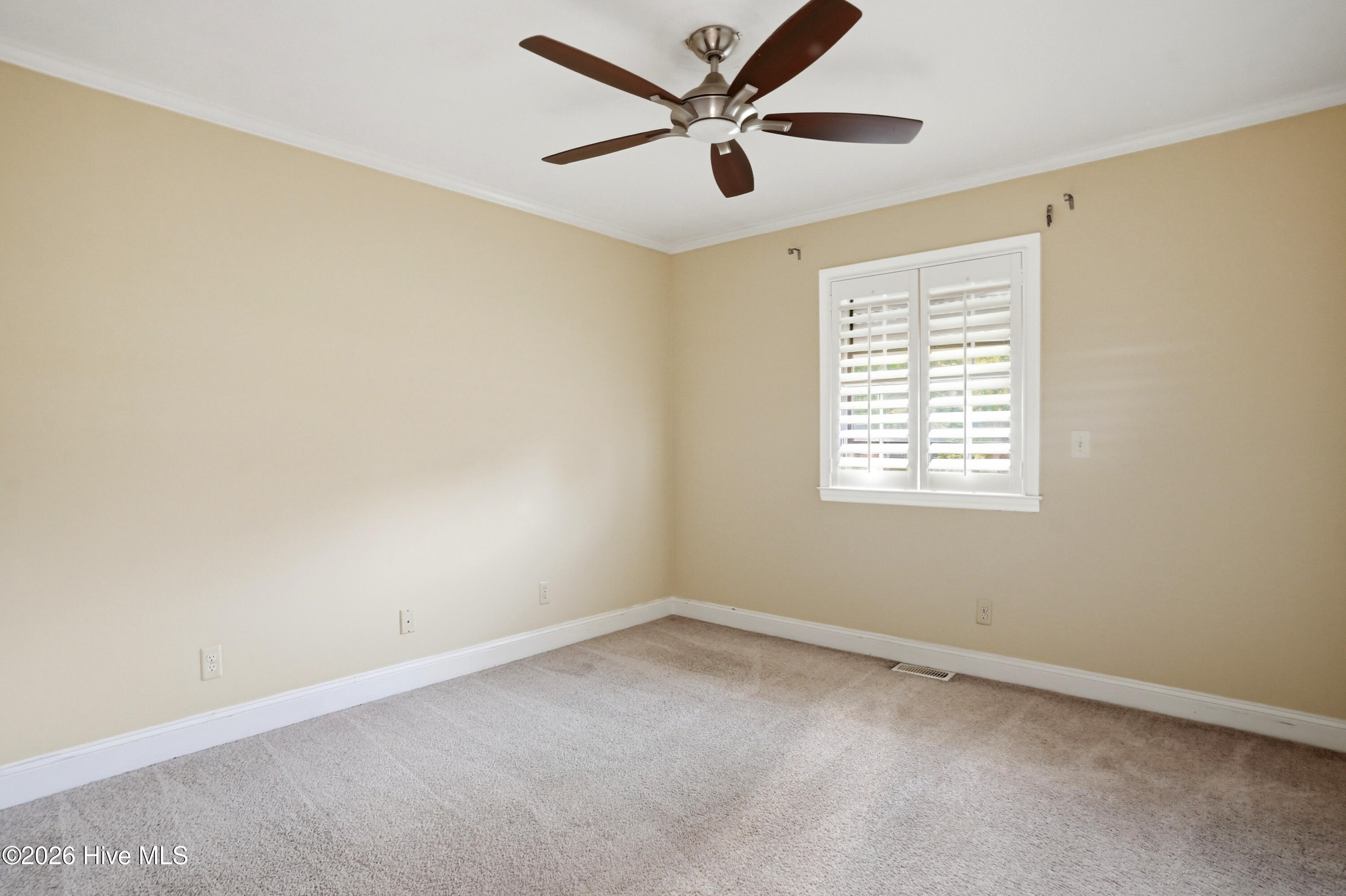 100567003 | Photo 19