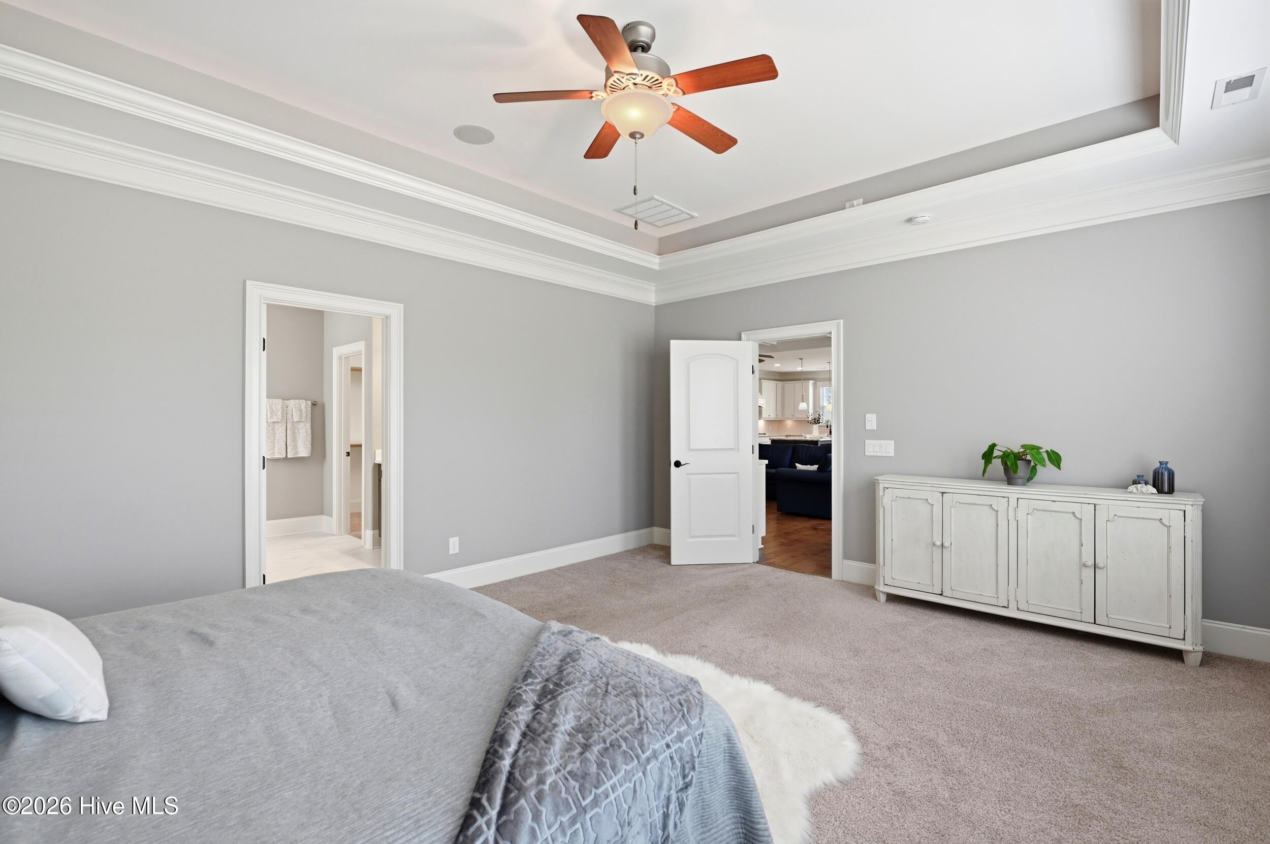 100567855 | Photo 27