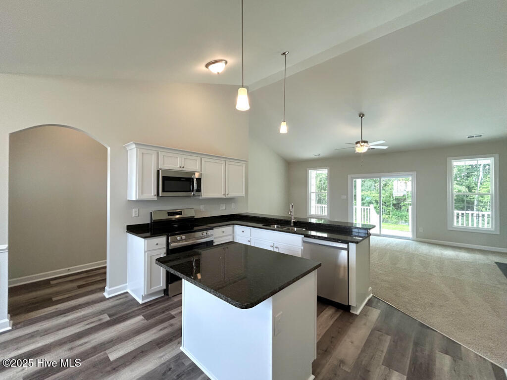 100562830 | Photo 16