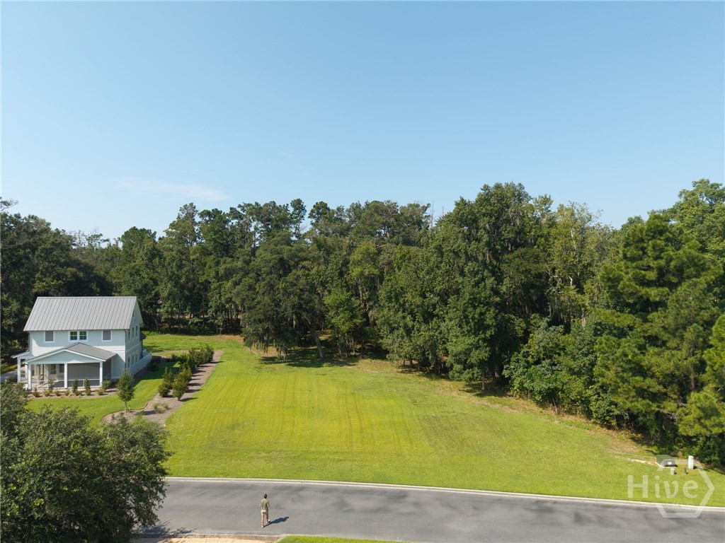 Photo 3 of Land for sale at 245 Little Lulu Ln, Richmond Hill, GA 31324 | MLS# SA363140 | Listing updated on 2026-09-18