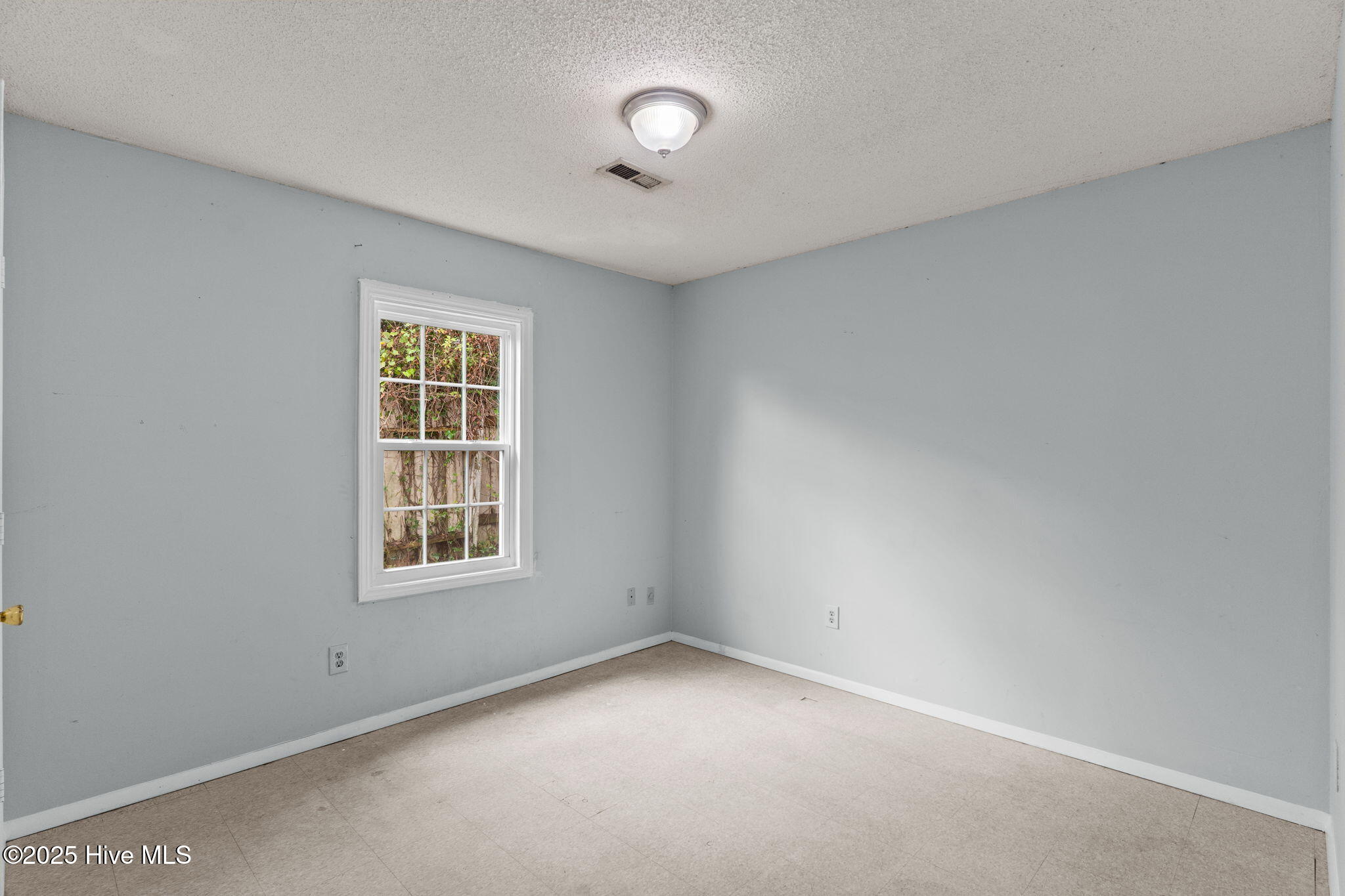 100528718 | Photo 26