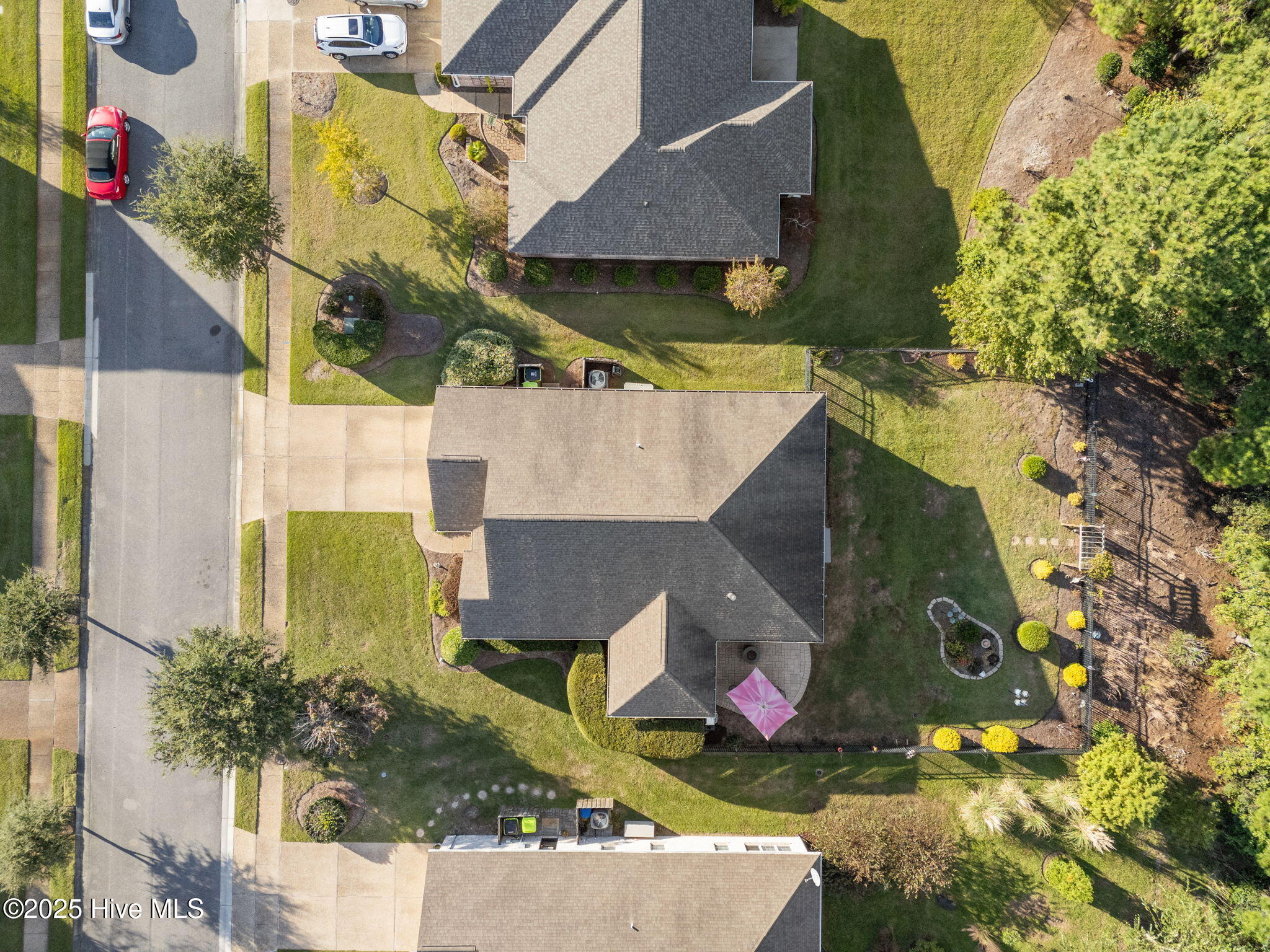 100538493 | Photo 39