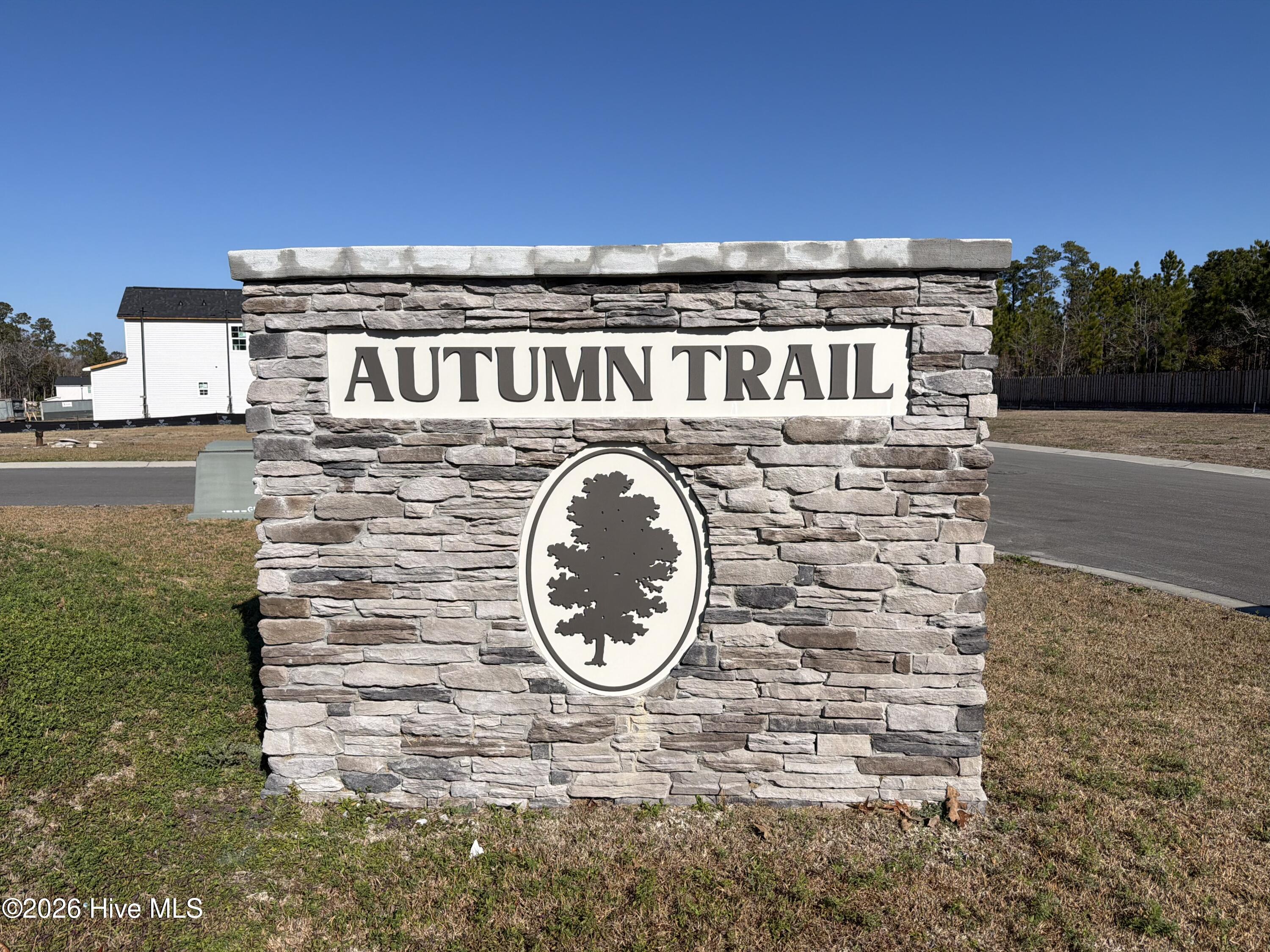 100547297 | Photo 21