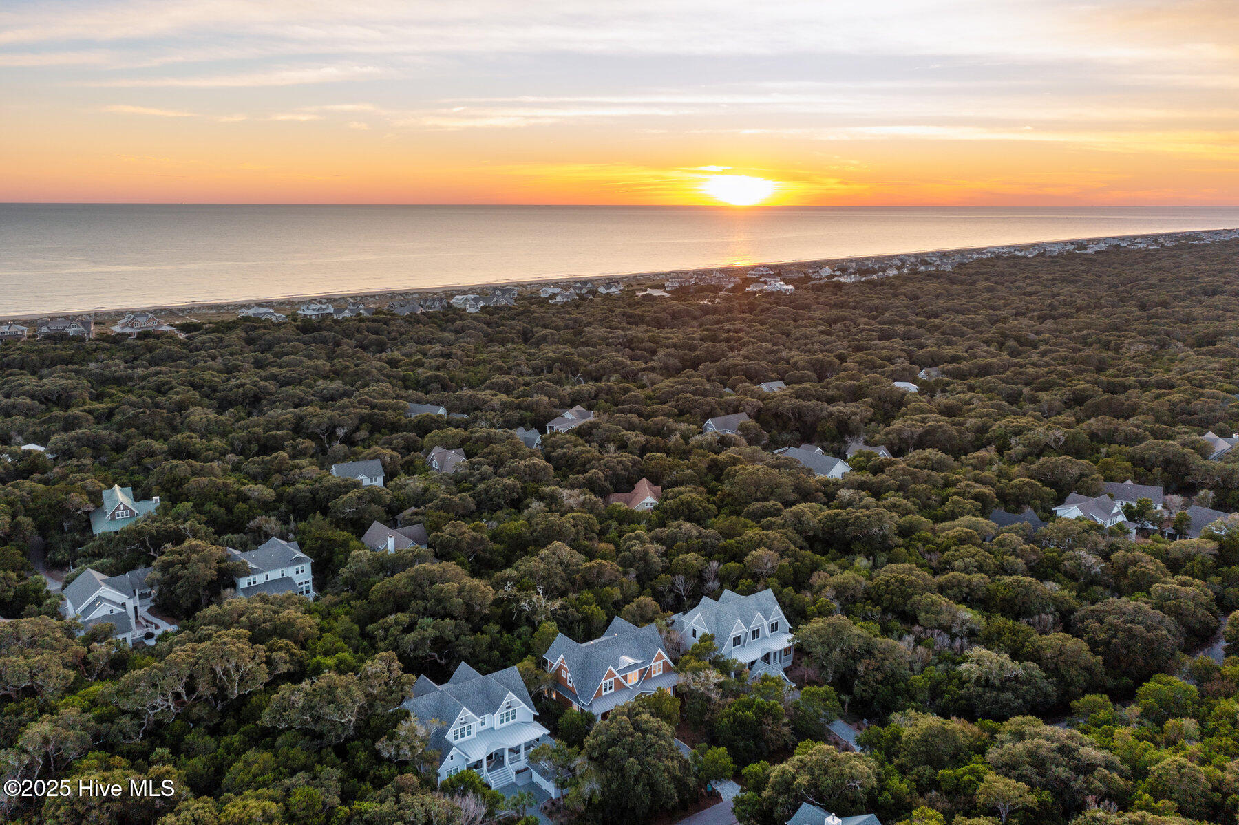 100401243 | Photo 90