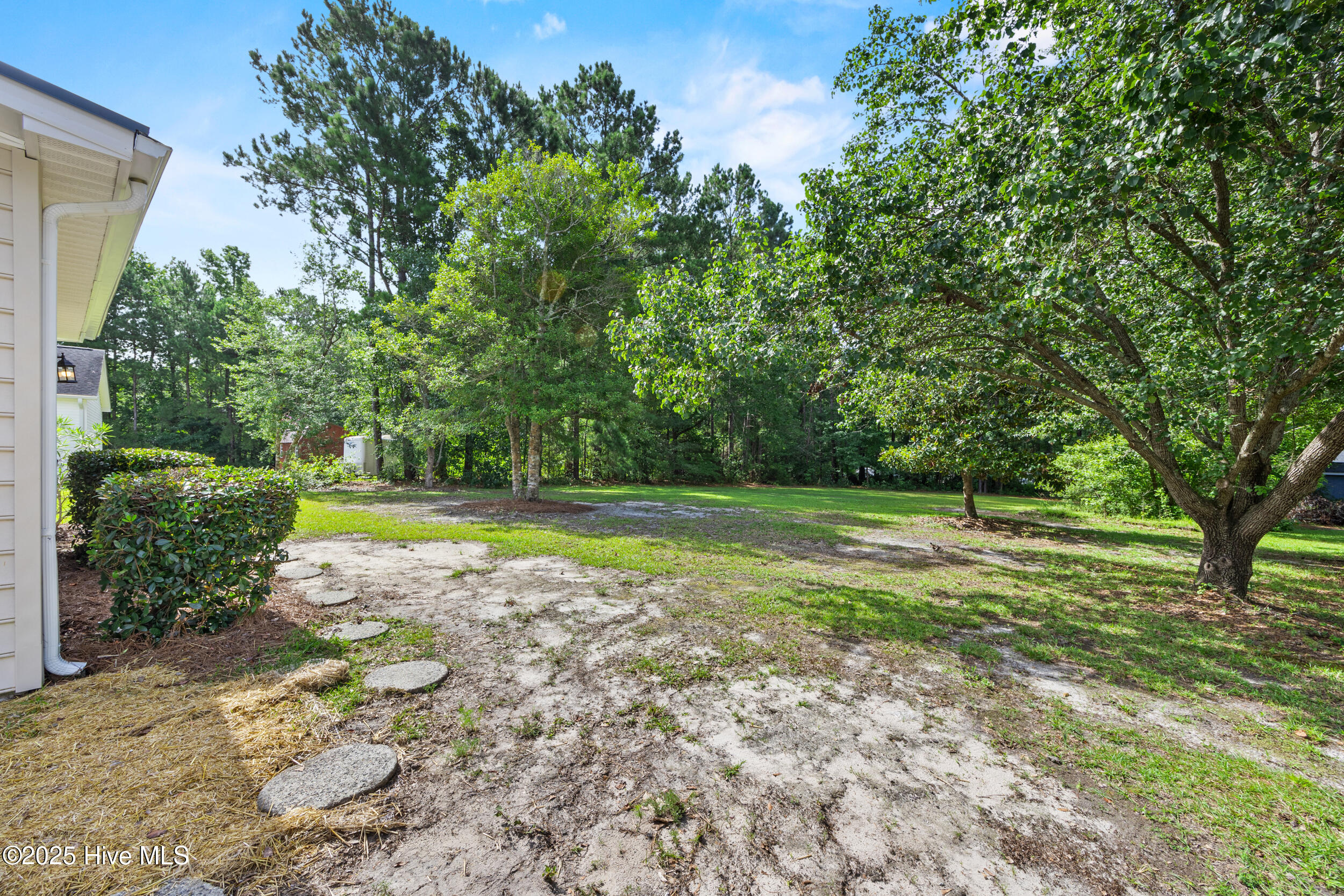 100521133 | Photo 45