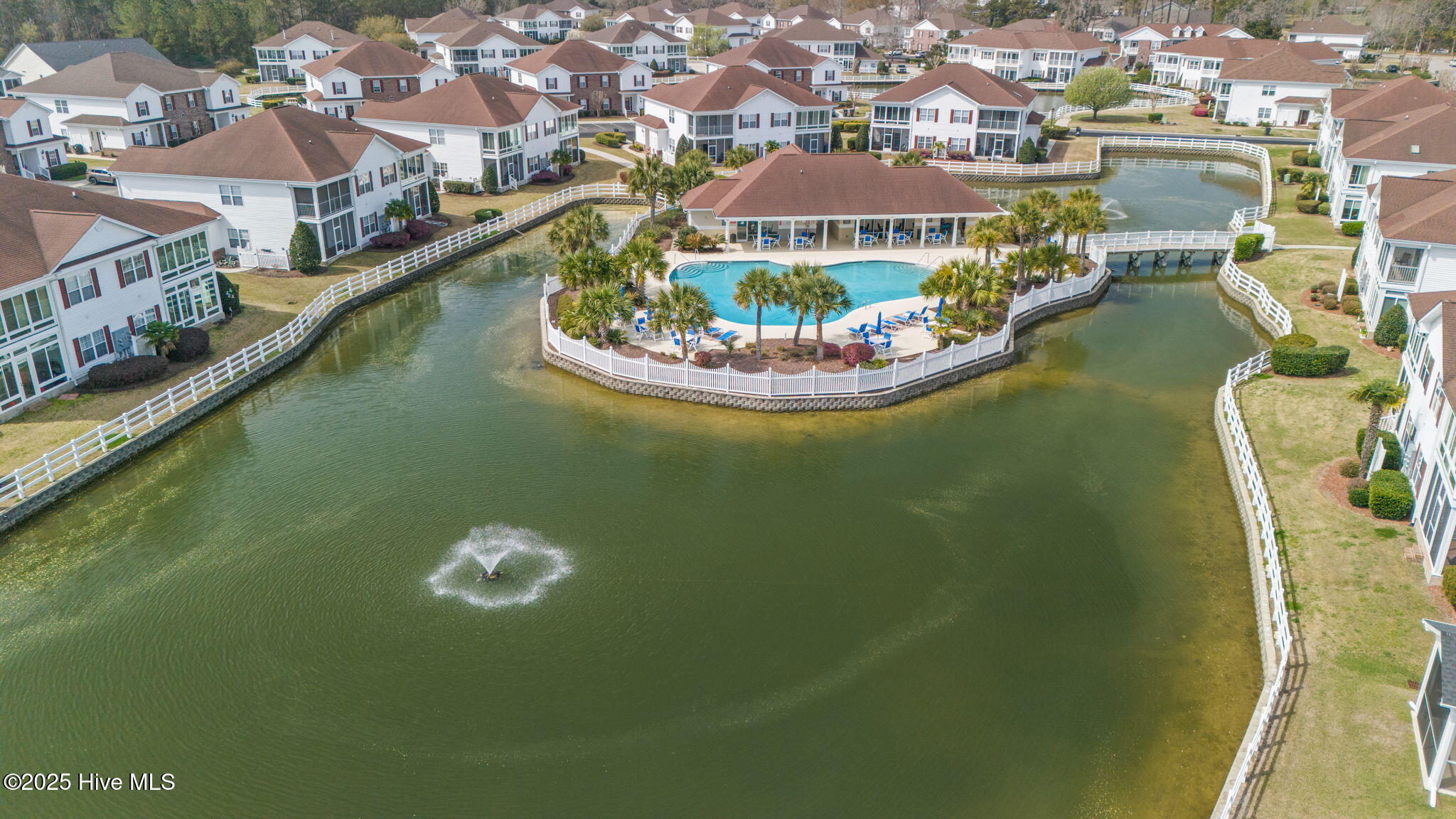 100496126 | Photo 45