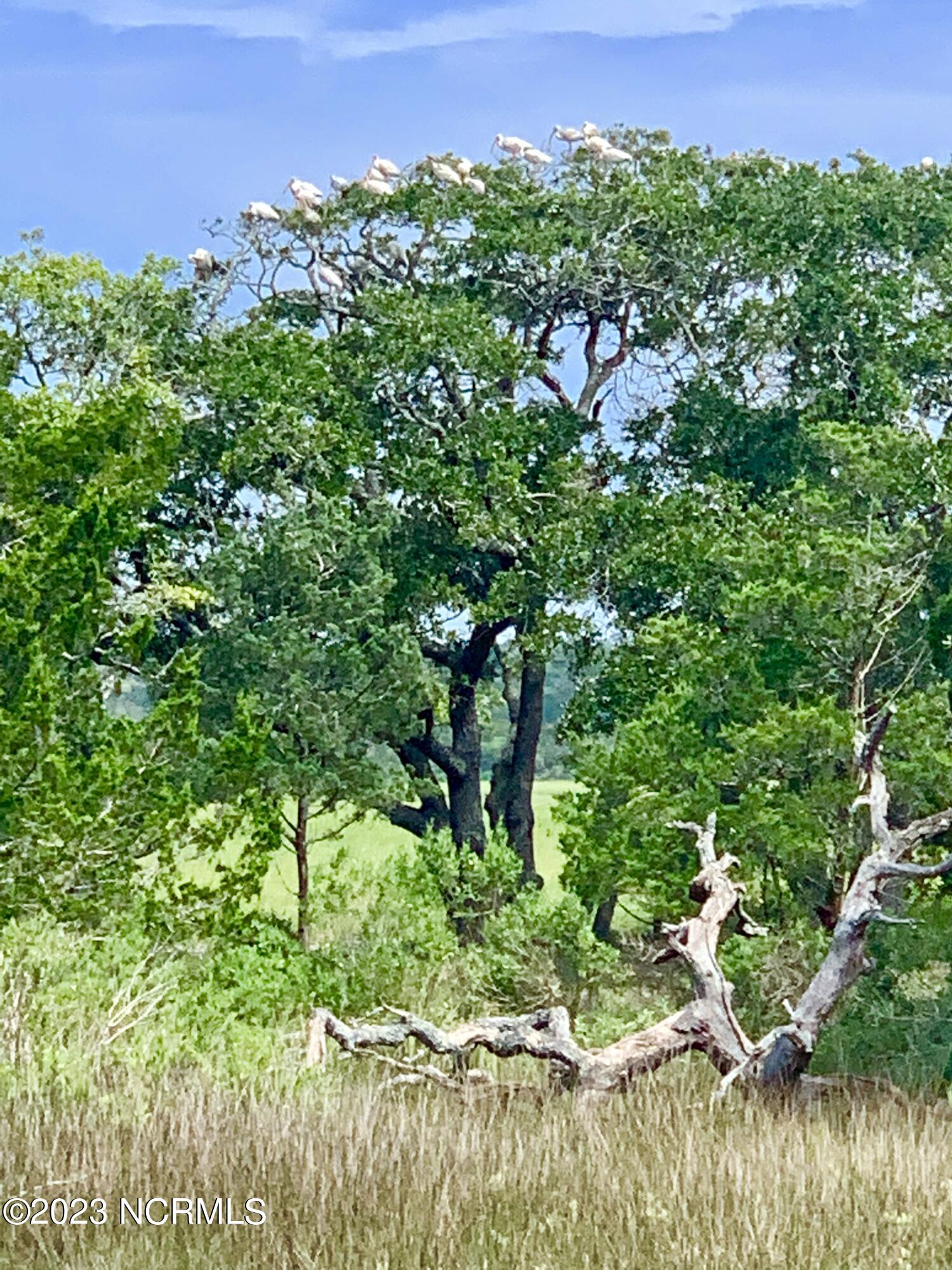 100388234 | Photo 30