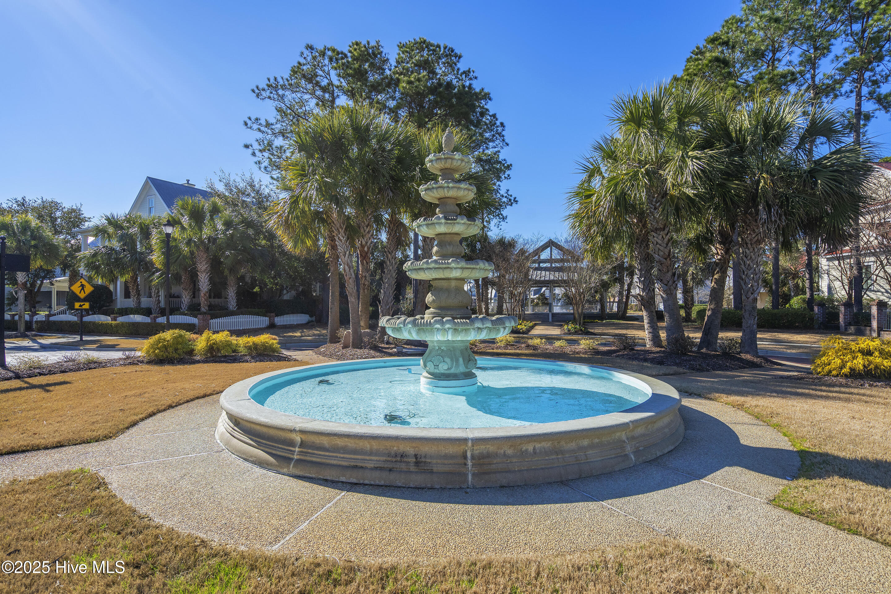 100537551 | Photo 74