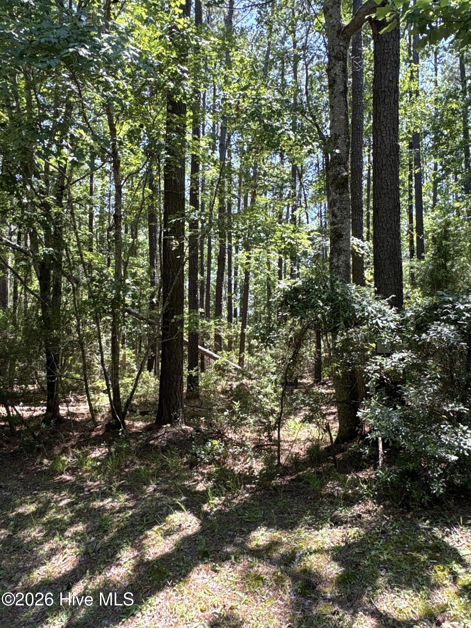117 2 Headwaters Drive,Oriental