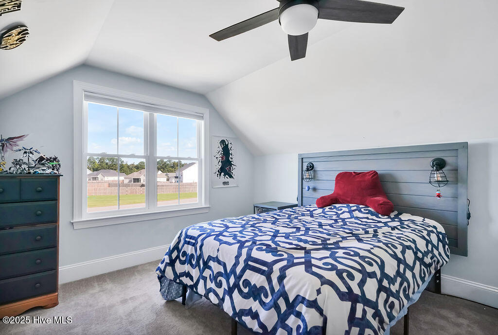 100535905 | Photo 37