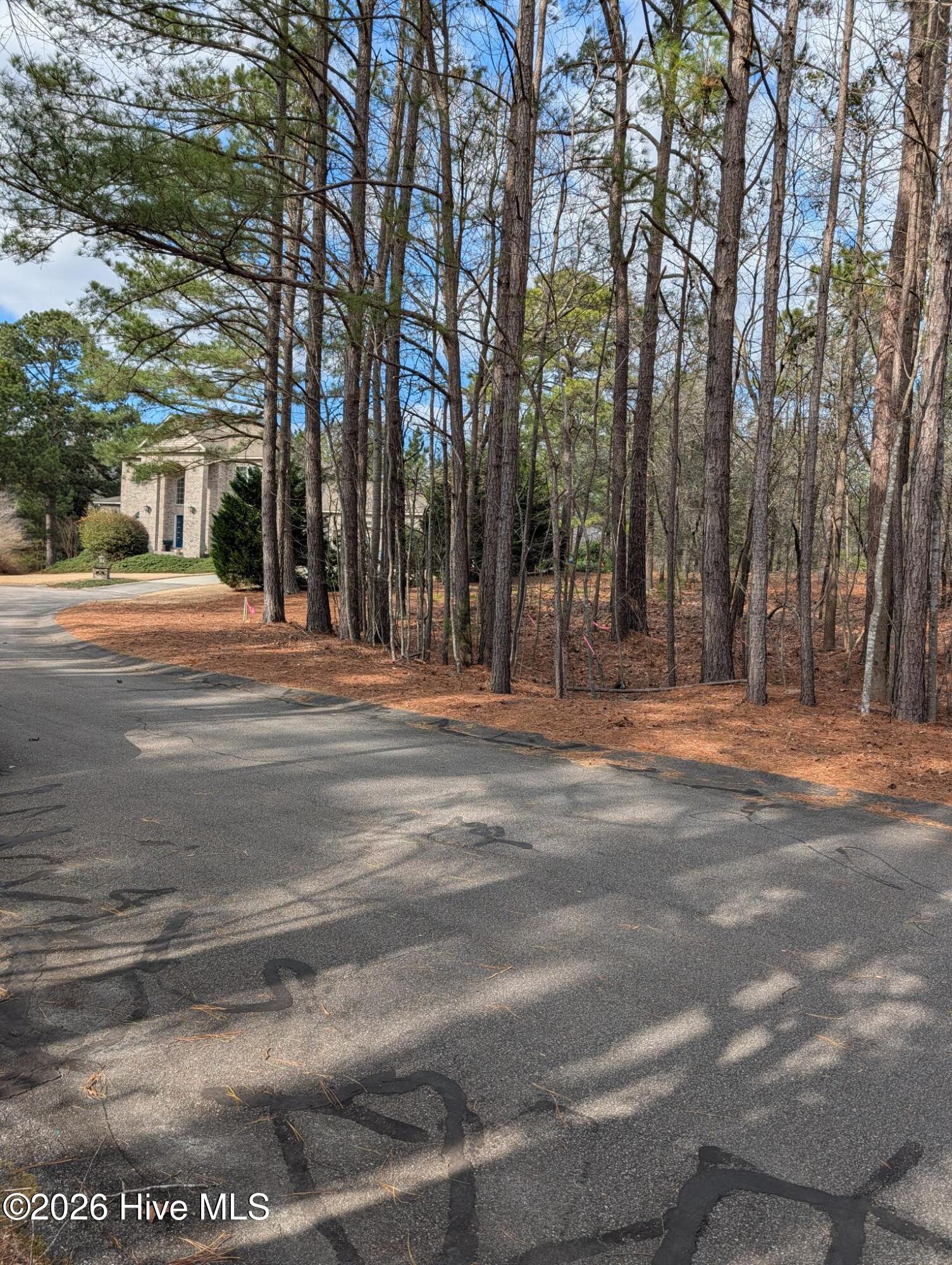 PXL_20260223_194828518