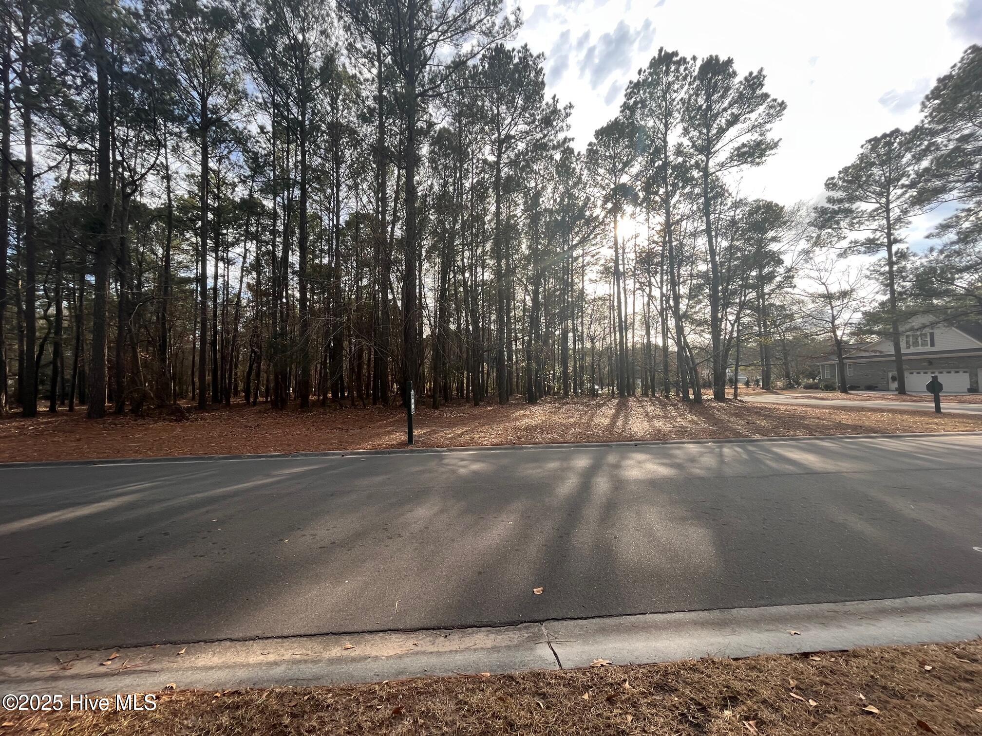 264 Red Fox Run Drive, Wallace, NC, 28466